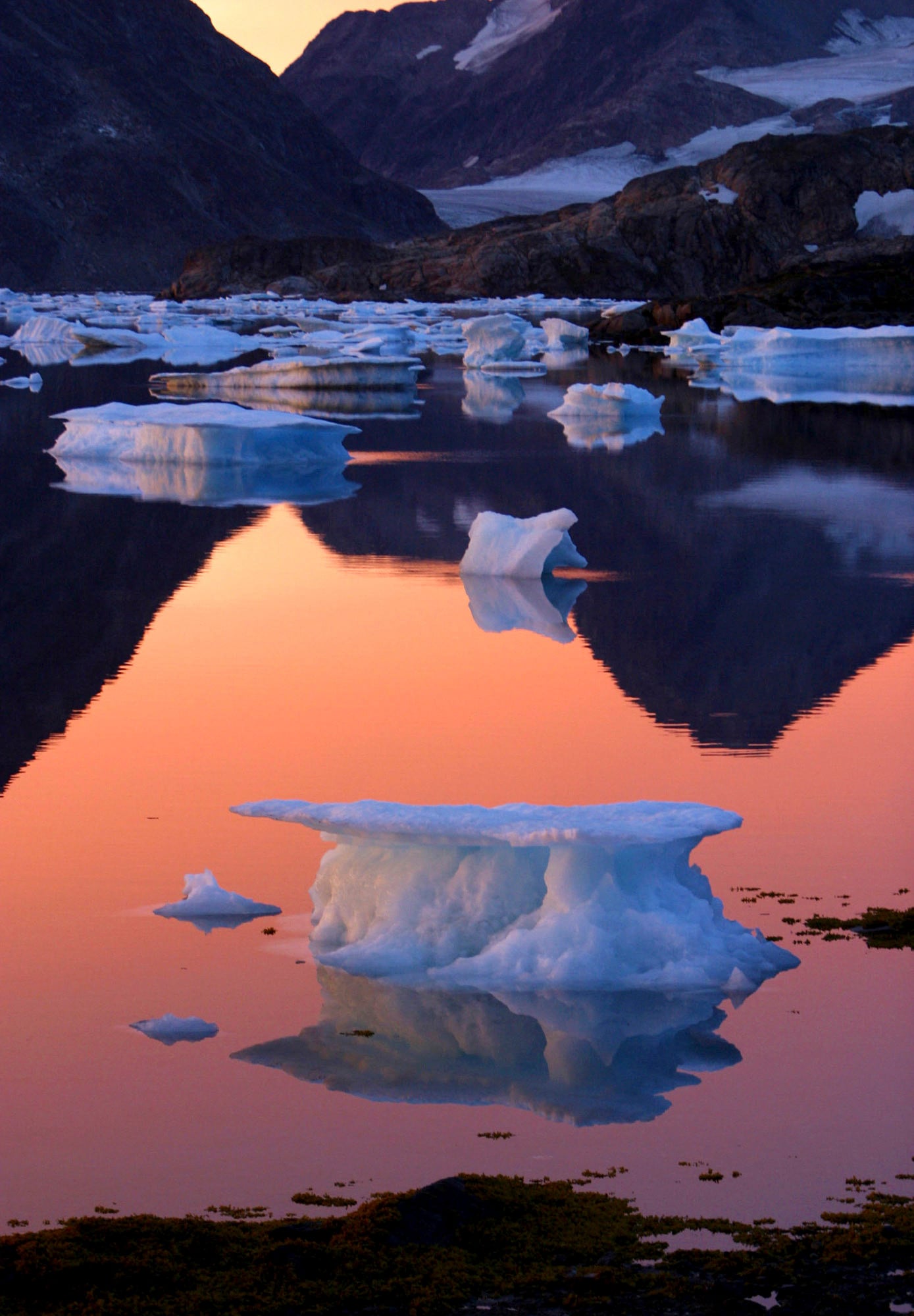 Ice floats in a bay in Greenland. File photo: AP