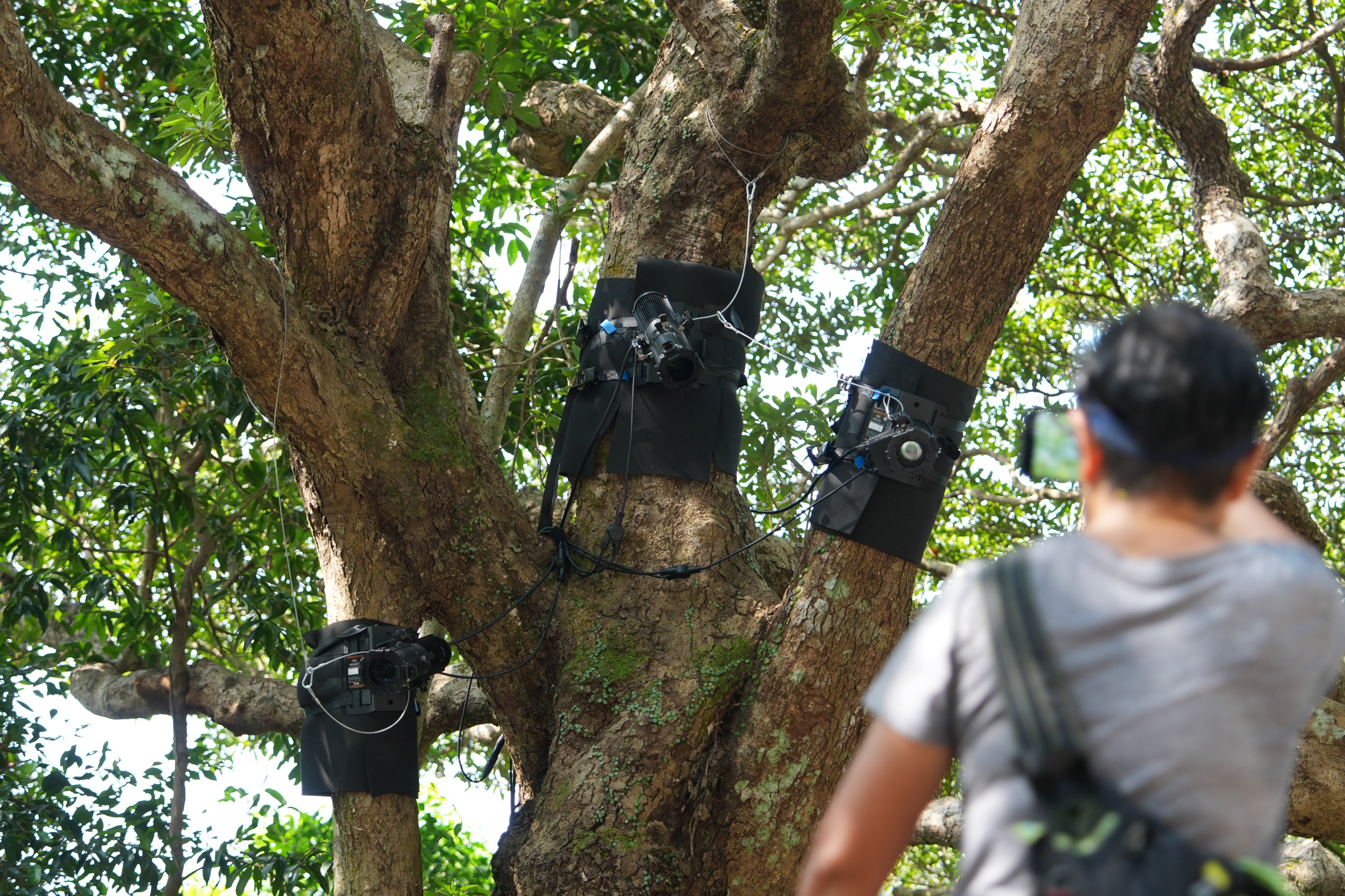 Tourism authorities say the project is designed to “further enha Photo: Sam Tsang