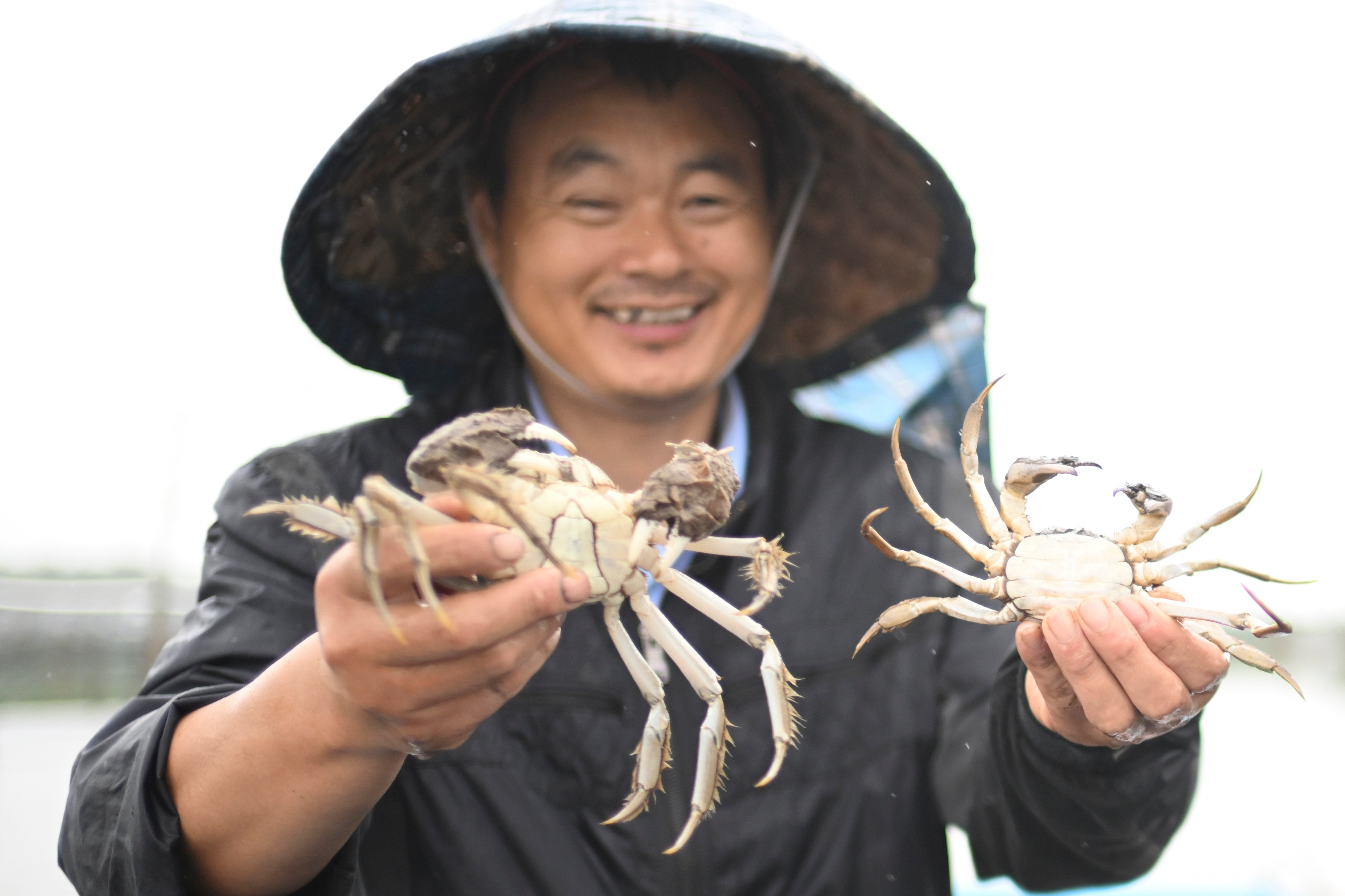 A crab farmer displays hairy crabs newly caught in the Yangcheng Lake in Suzhou, east China’s Jiangsu province. Photo: Xinhua