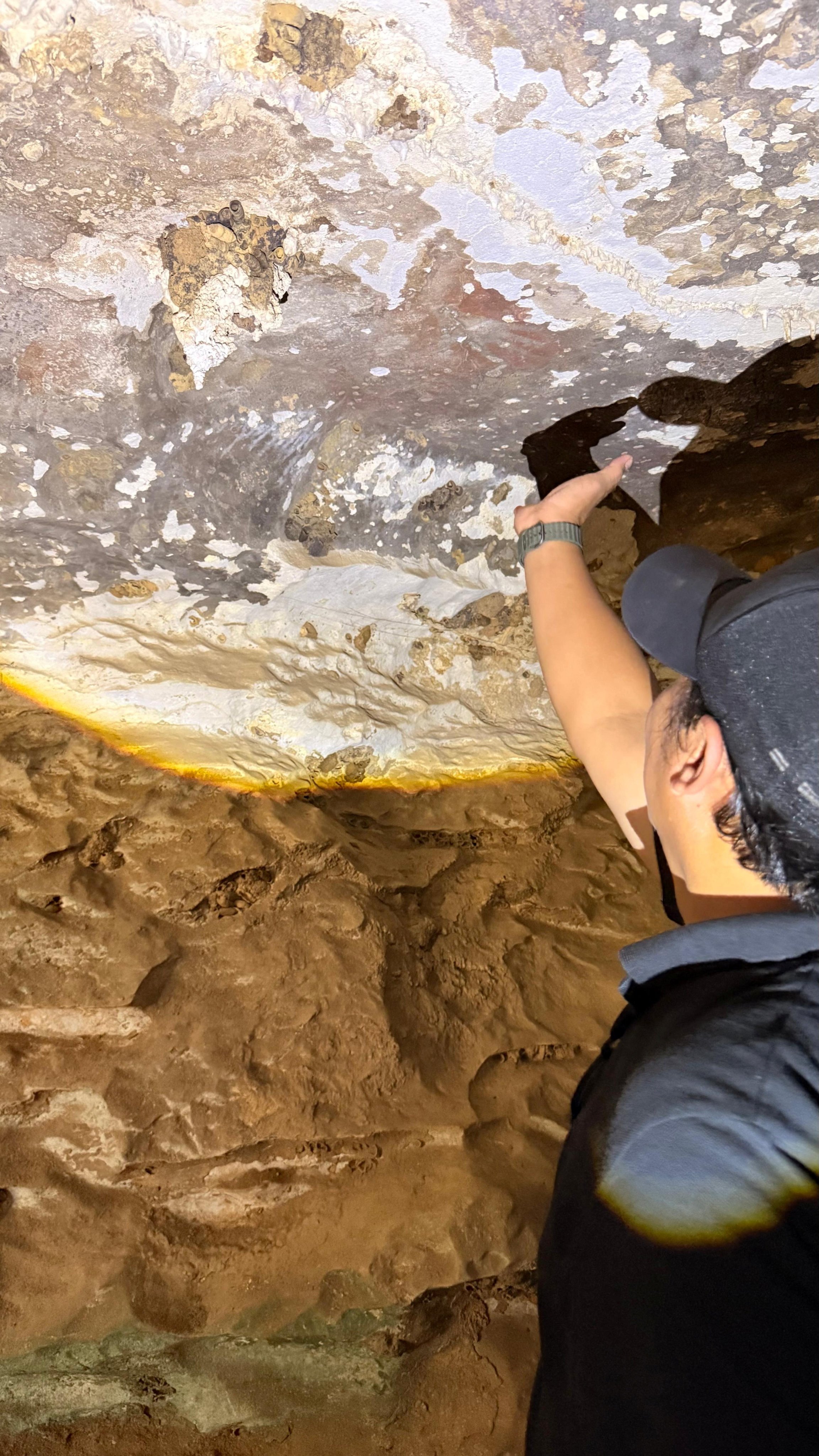 A researcher points to a rock painting inside a cave in Maros-Pangkep, South Sulawesi, on October 12. Photo: National Research and Innovation Agency / Reuters