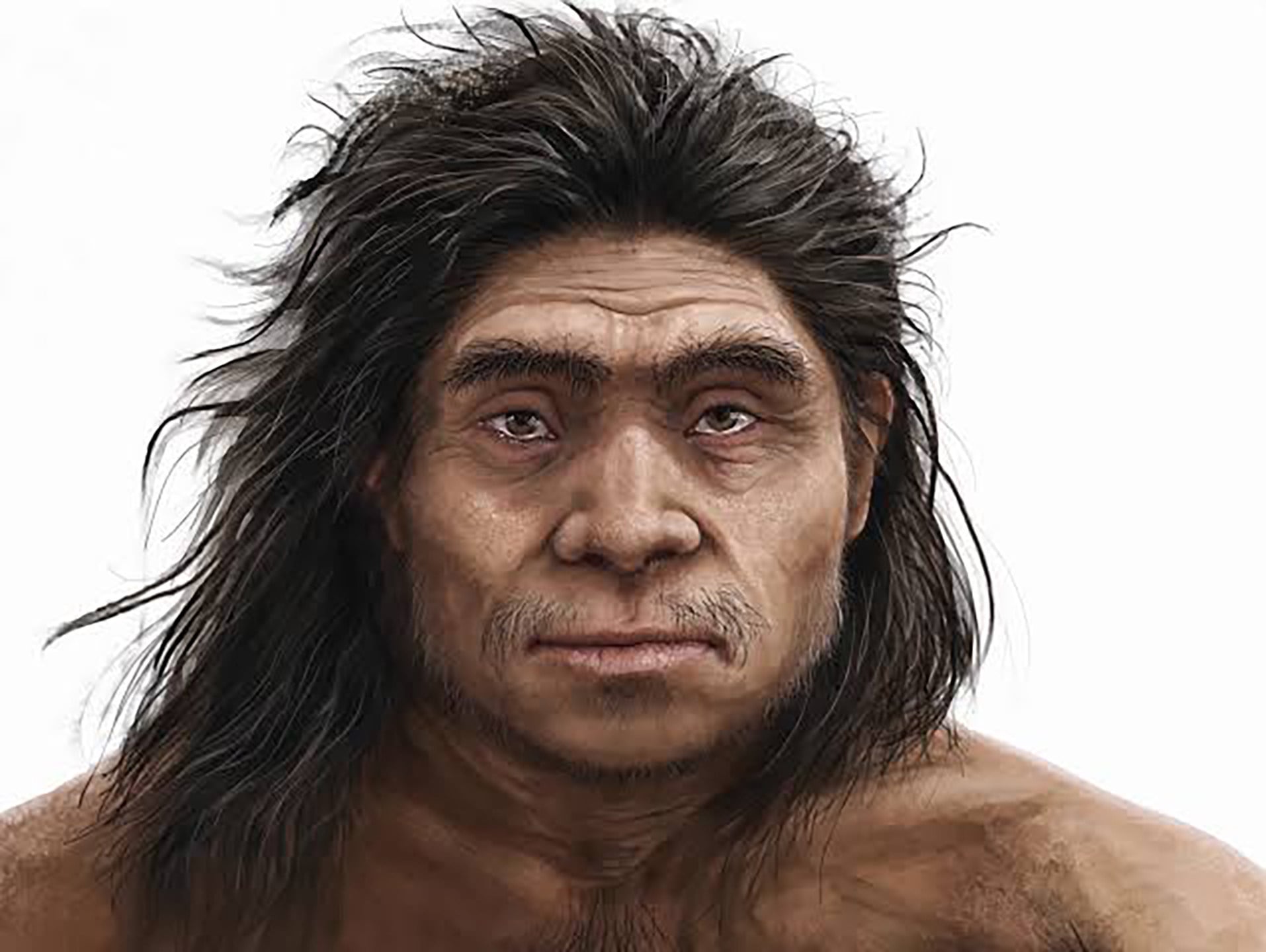 Artist depiction of the heavy set facial features of a Denisovan. Illustration: Institute of Vertebrate Paleontology and Paleoanthropology/Chinese Academy of Sciences