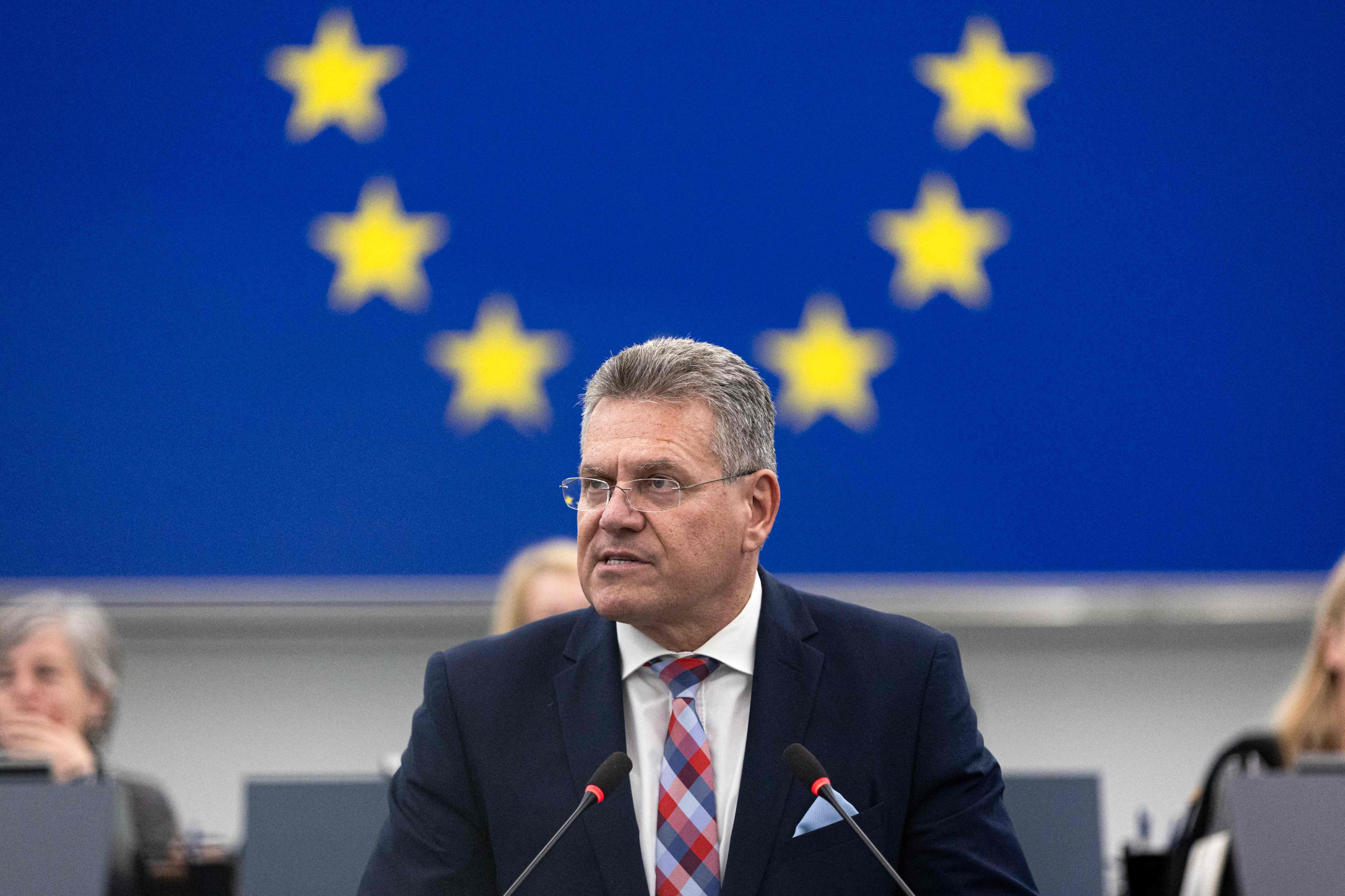 EU trade commissioner Maros Sefcovic addresses the European Parliament in Strasbourg on Tuesday. Photo: AFP