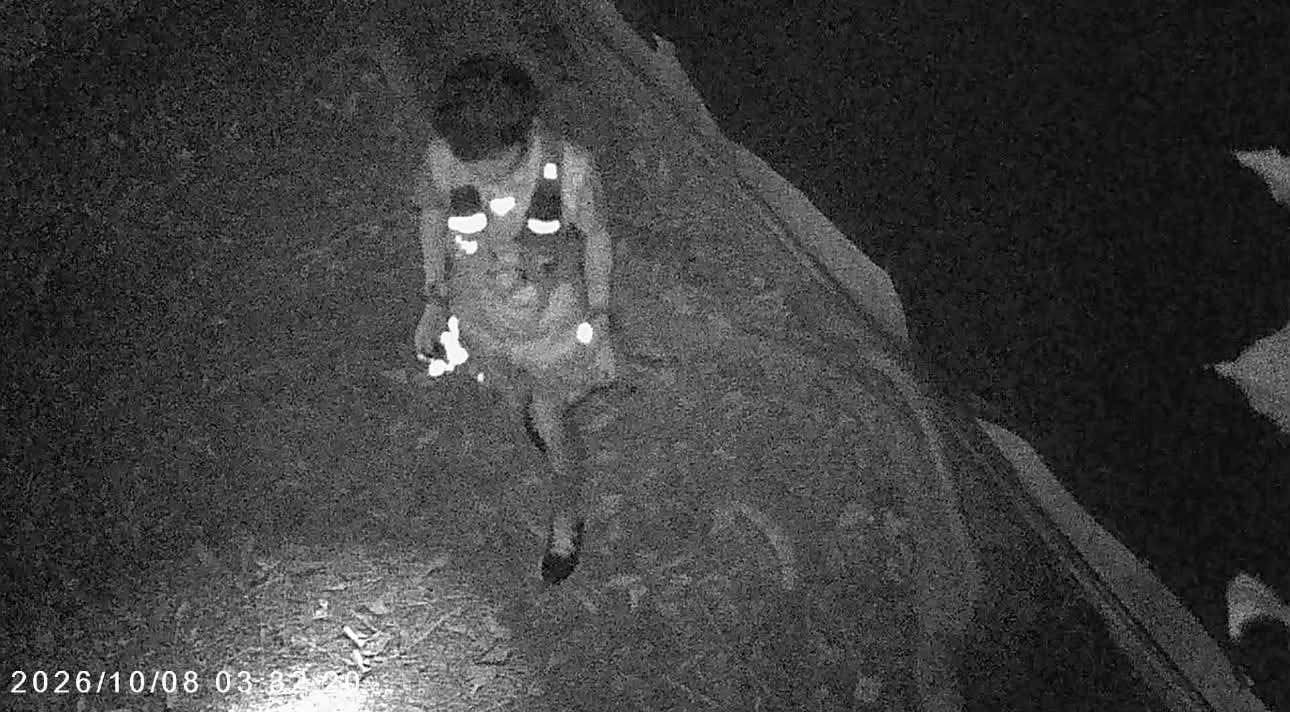 A still taken from camera footage shows a man alleged to have mixed rat poison into cat food. Photo: Threads/pangxc15