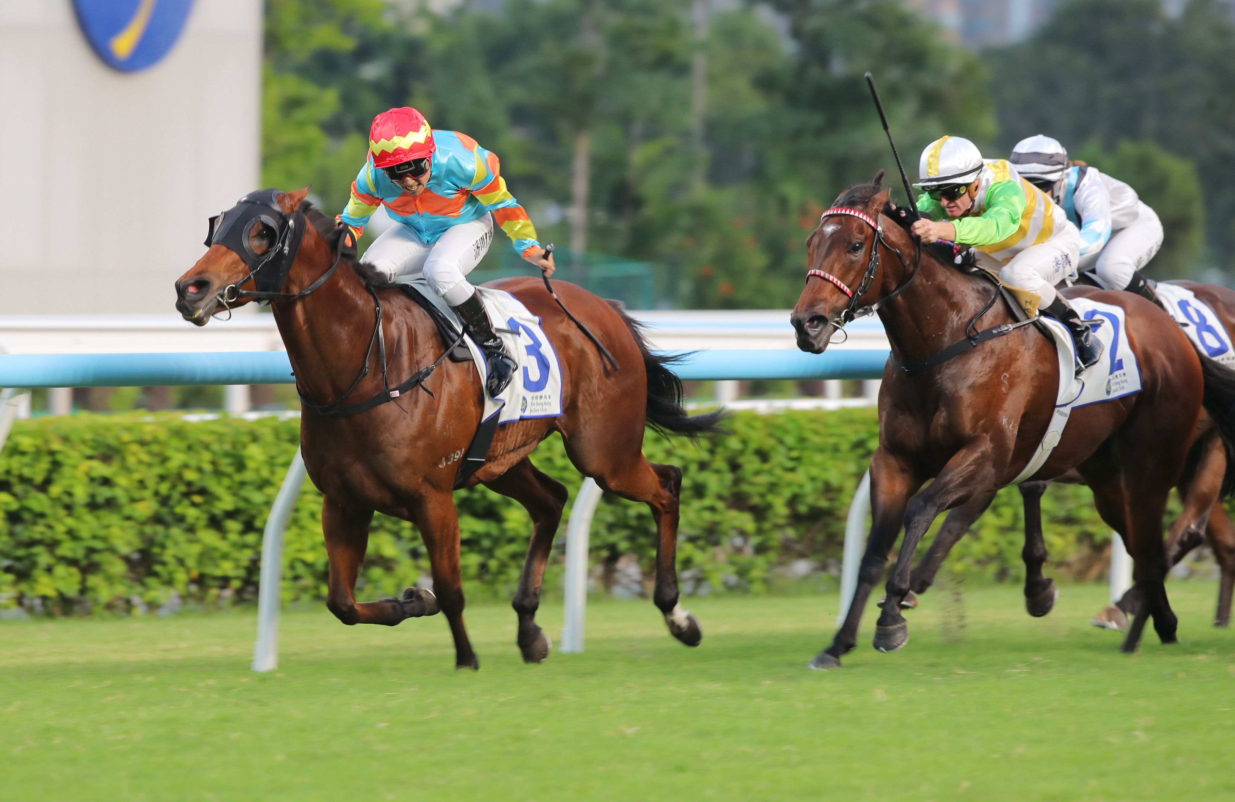 Ka Ying Attack makes a winning return at Sha Tin. Photos: Kenneth Chan
