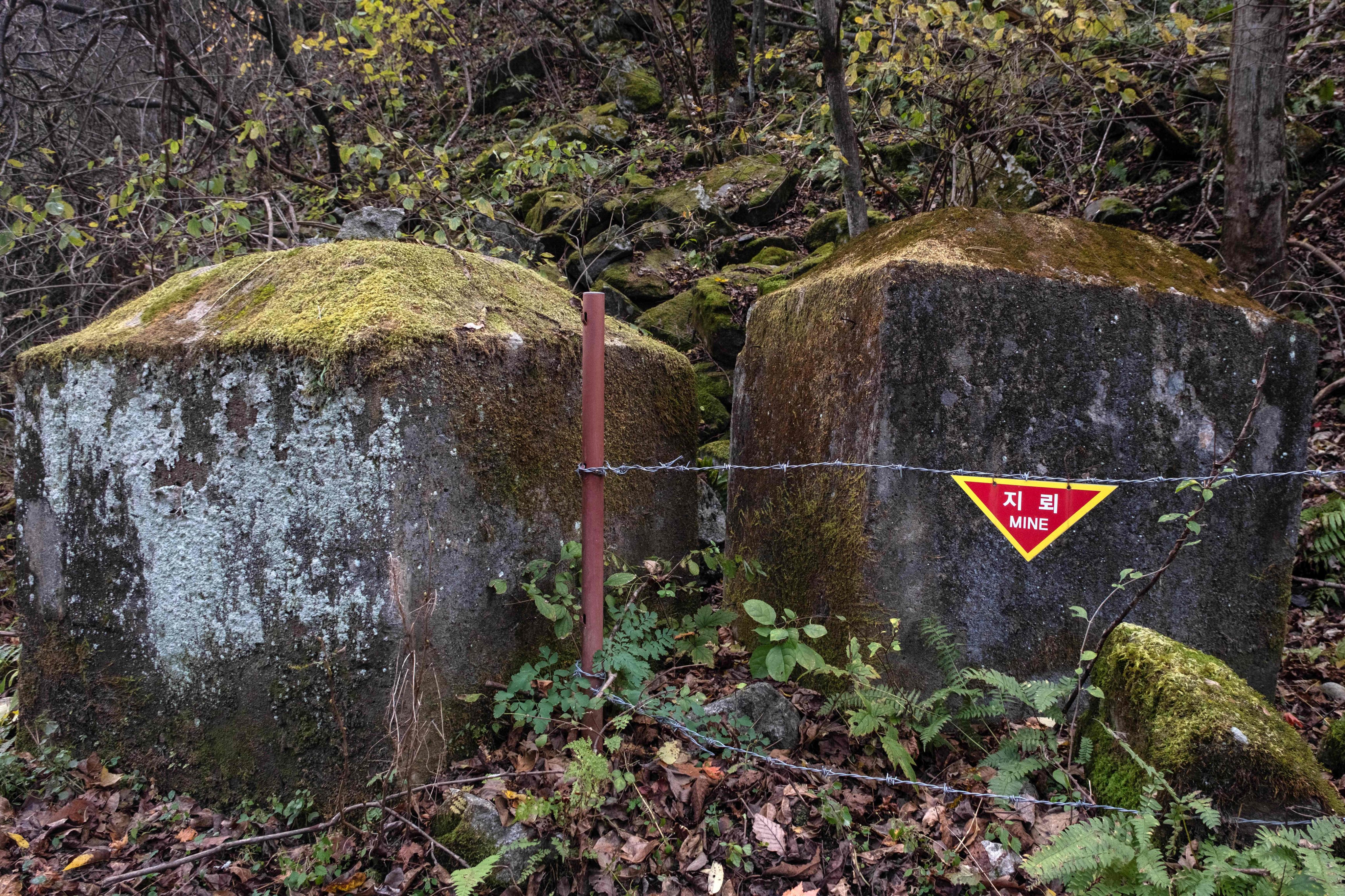 A landmine warning sign is seen along a trail next to the demilitarised zone between North and South Korea on Wednesday. Photo: AFP