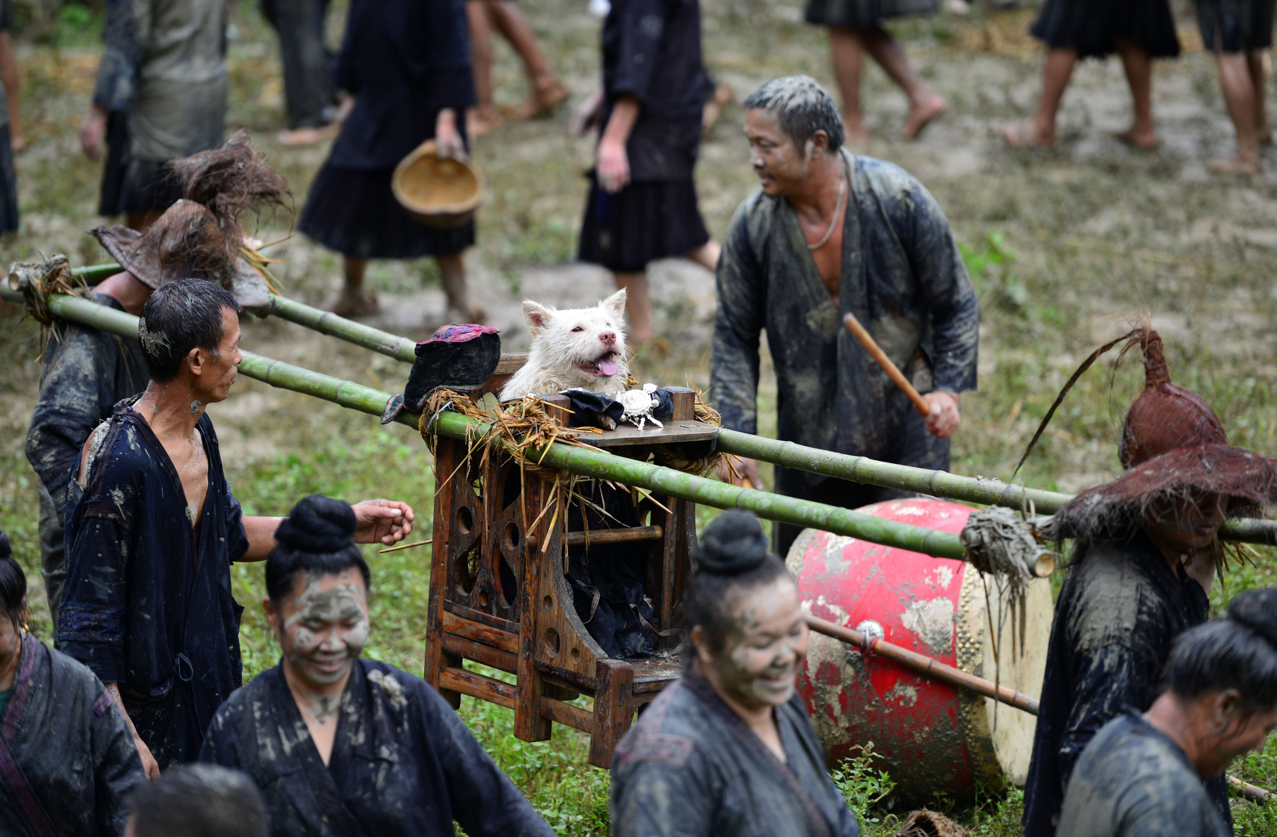 During a traditional folk festival, the Miao people dress dogs in human clothing and carry them on sedan chairs to express deep gratitude to the animals that helped their ancestors find water. Photo: Visual China Group via Getty Images