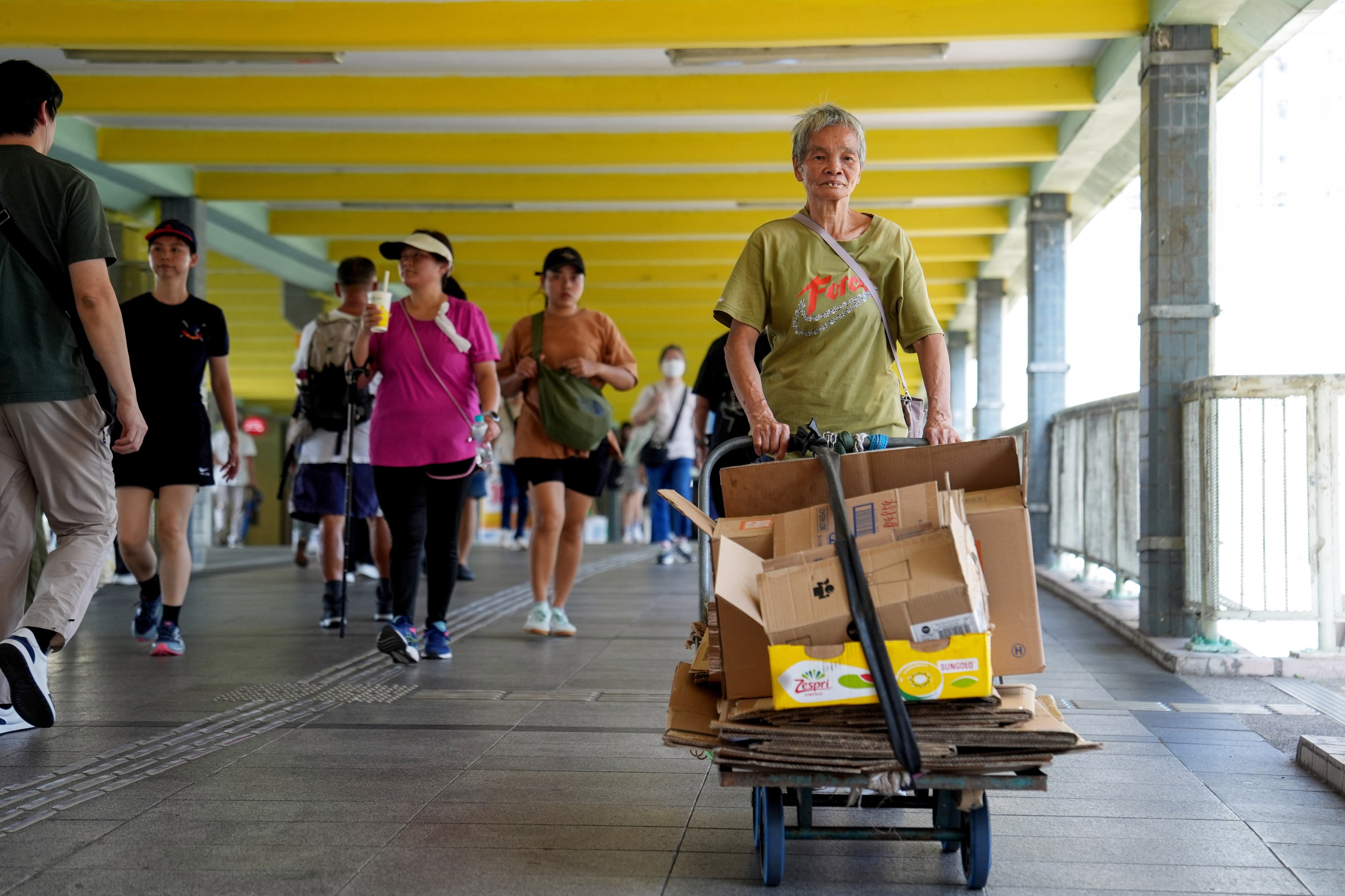 Cardboard Environment How will Hong Kong’s cardboard scavengers survive as prices drop after ...