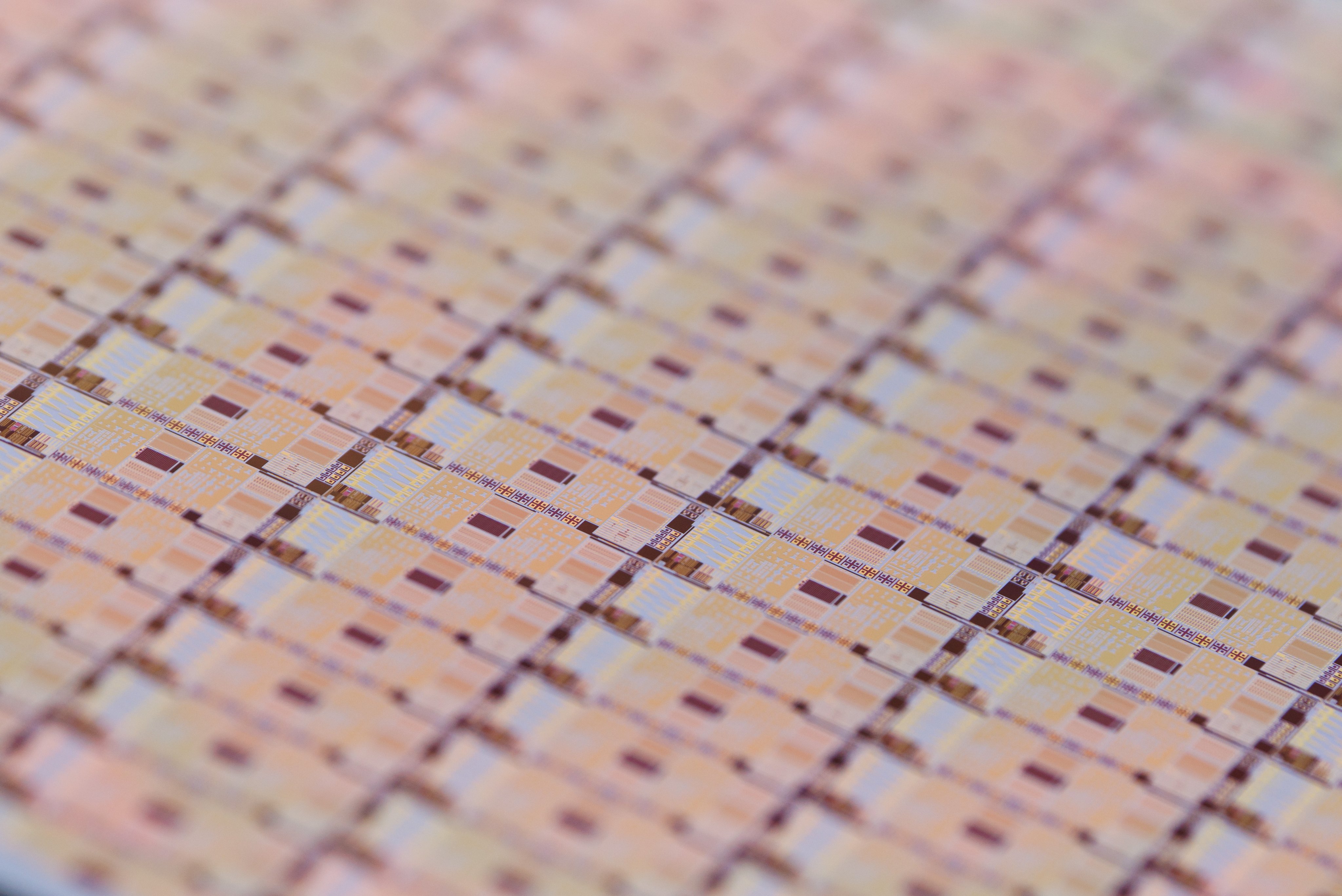 A silicon semiconductor wafer. Photo: EPA
