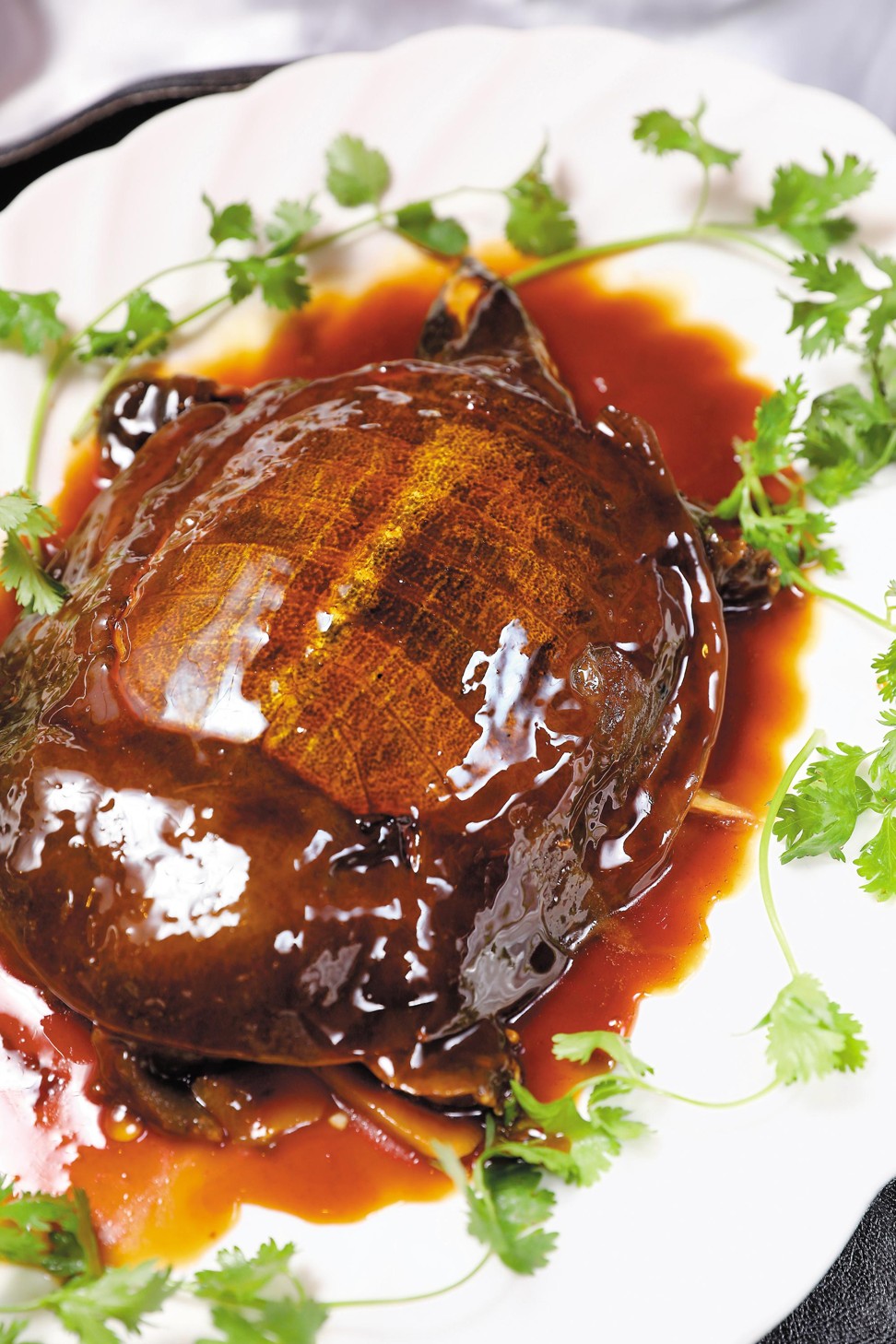 Steamed turtle in crystal sugar sauce, a Shanghainese classic at Wang Jie’s Private Kitchen