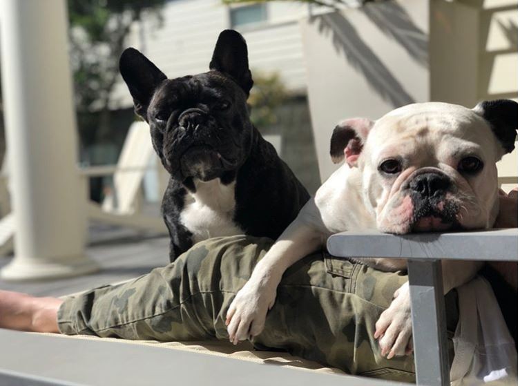 Humming Puppy yoga studio is designed to allow yogis to immerse themselves in ‘good vibes’. Photo: Instagram/Humming Puppy