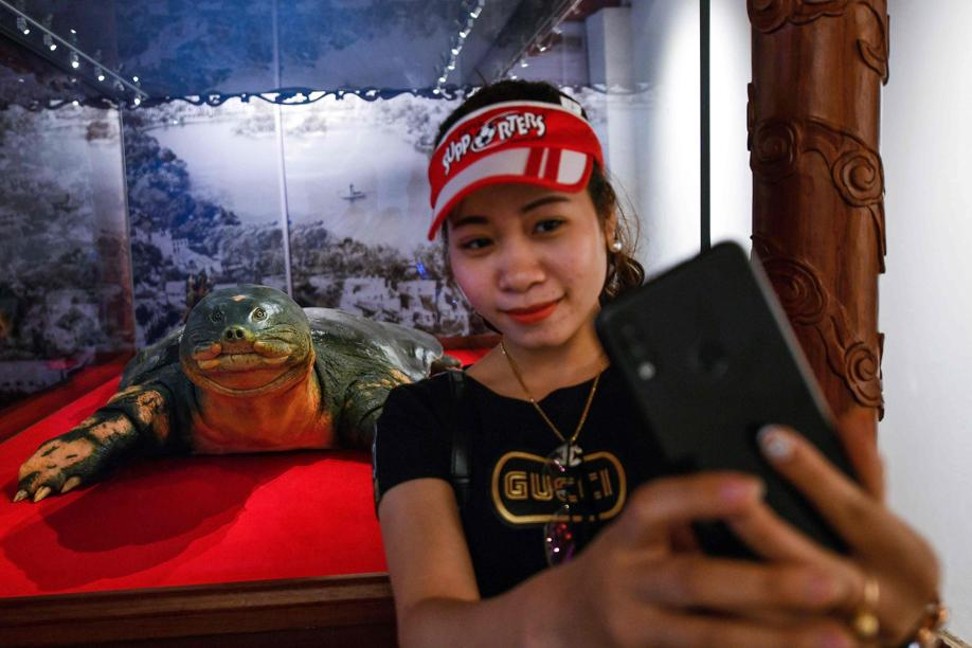A sacred giant turtle that died in Hanoi’s Hoan Kiem lake has been given a new lease of life by city authorities who embalmed the beloved creature for posterity, and tourist visits. Photo: AFP