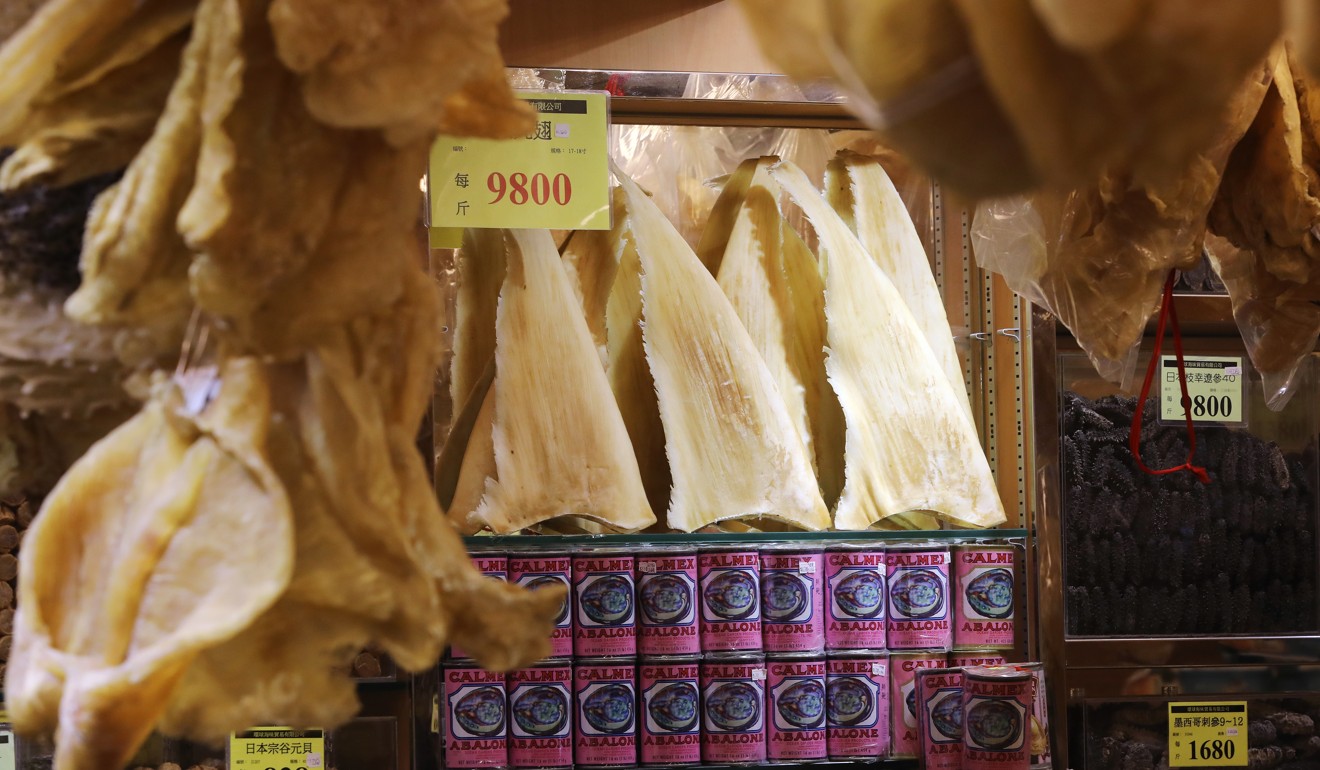 Shark fin trade documentary honours director who died during filming ...