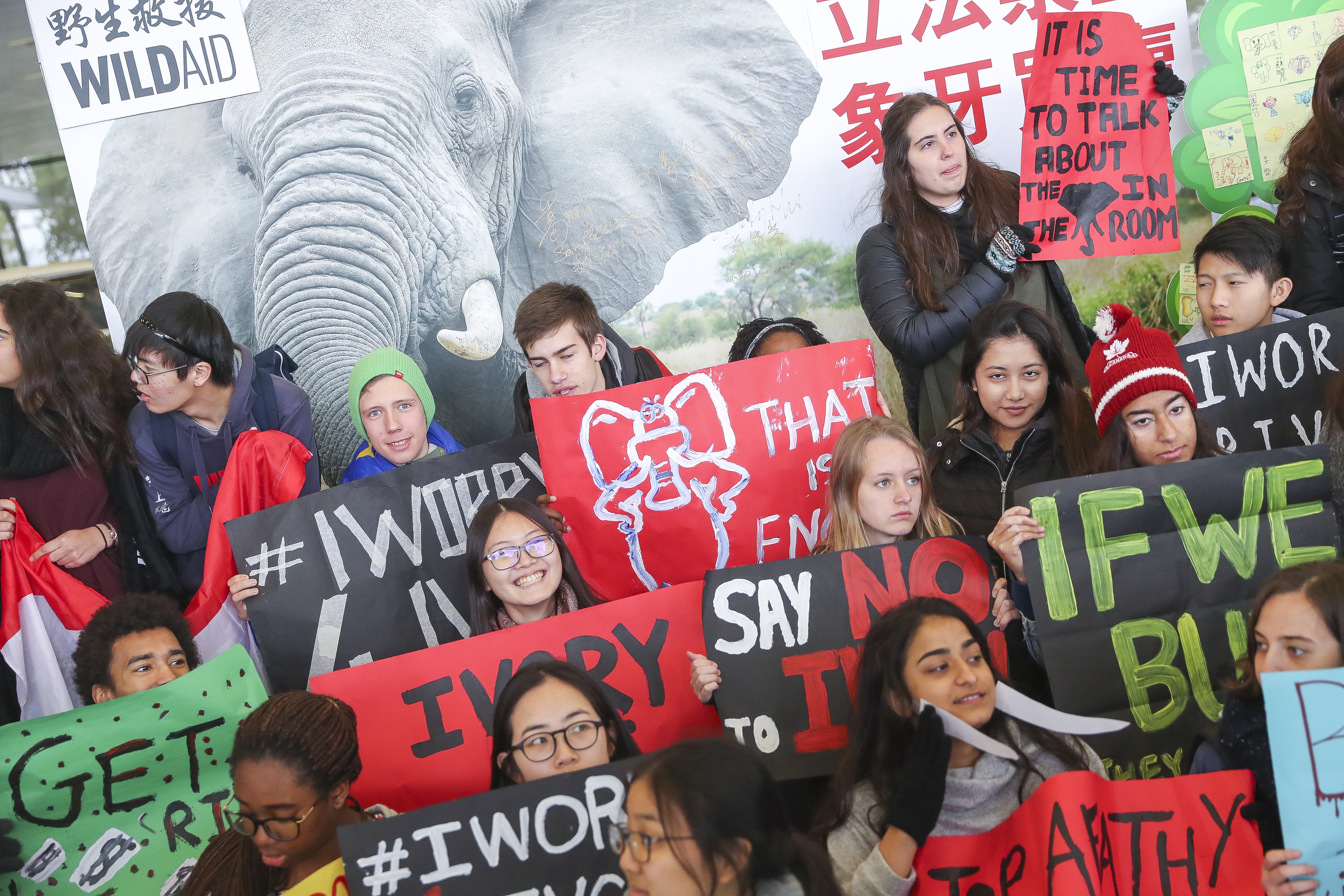 Local students and WildAid supporters urge Hong Kong lawmakers to vote for a bill to ban trade in ivory, at the Legislative Council complex in Admiralty on January 31, 2018. A landslide vote approved a phase-out of domestic ivory trade by 2021. Photo: K.Y. Cheng