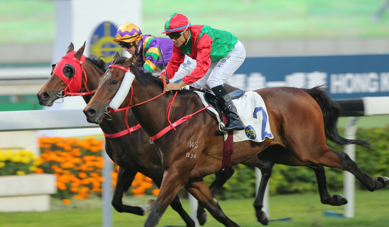 ‘Nervous’ Alfred Chan can hardly wait for Hong Kong debut at Sha Tin ...