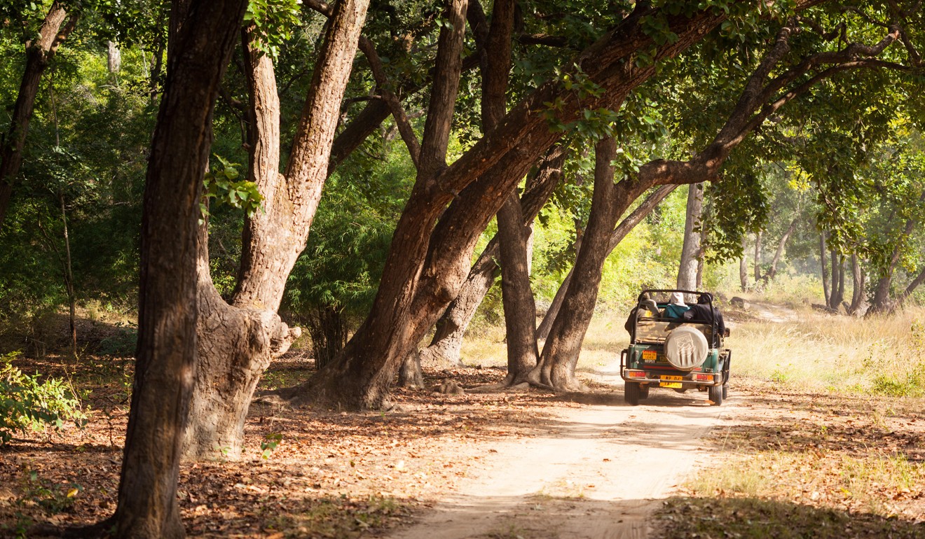 A safari jeep in Bandhavgarh National Park in Madhya Pradesh. Photo: Alamy