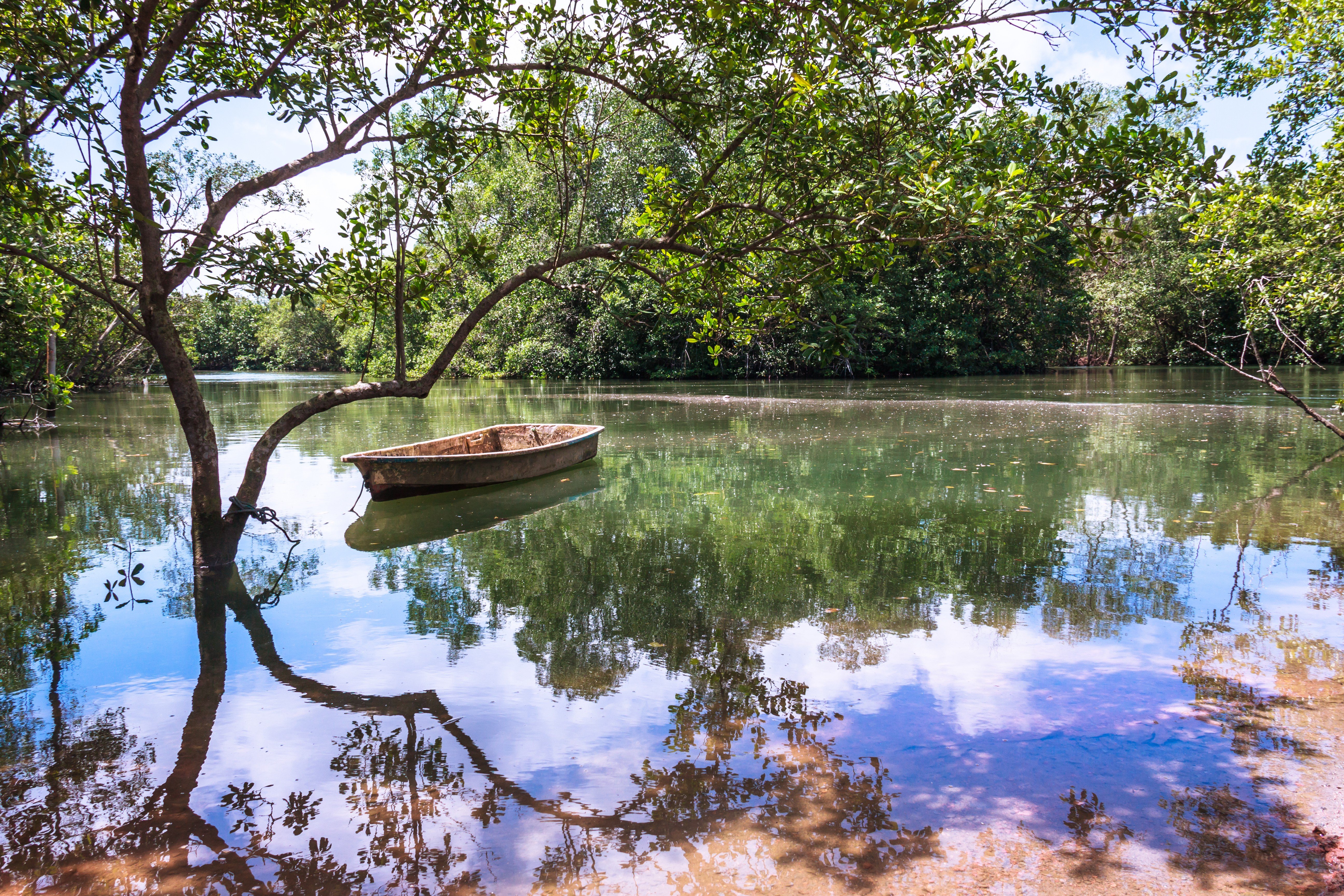 A pond on Pulau Ubin, an unspoilt island just off the coast of mainland Singapore. Photo: Shutterstock