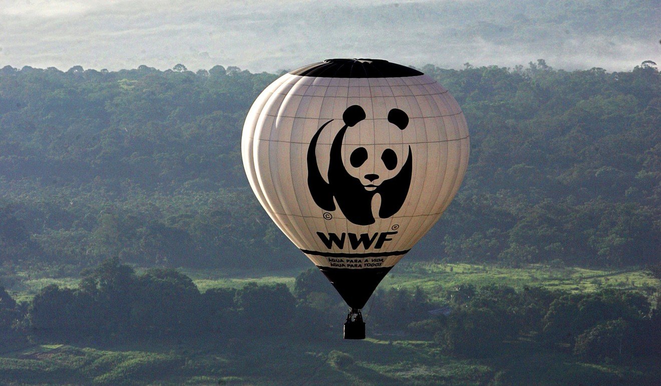 A World Wildlife Fund hot air balloon flies over the Amazon in 2006. Photo: AFP