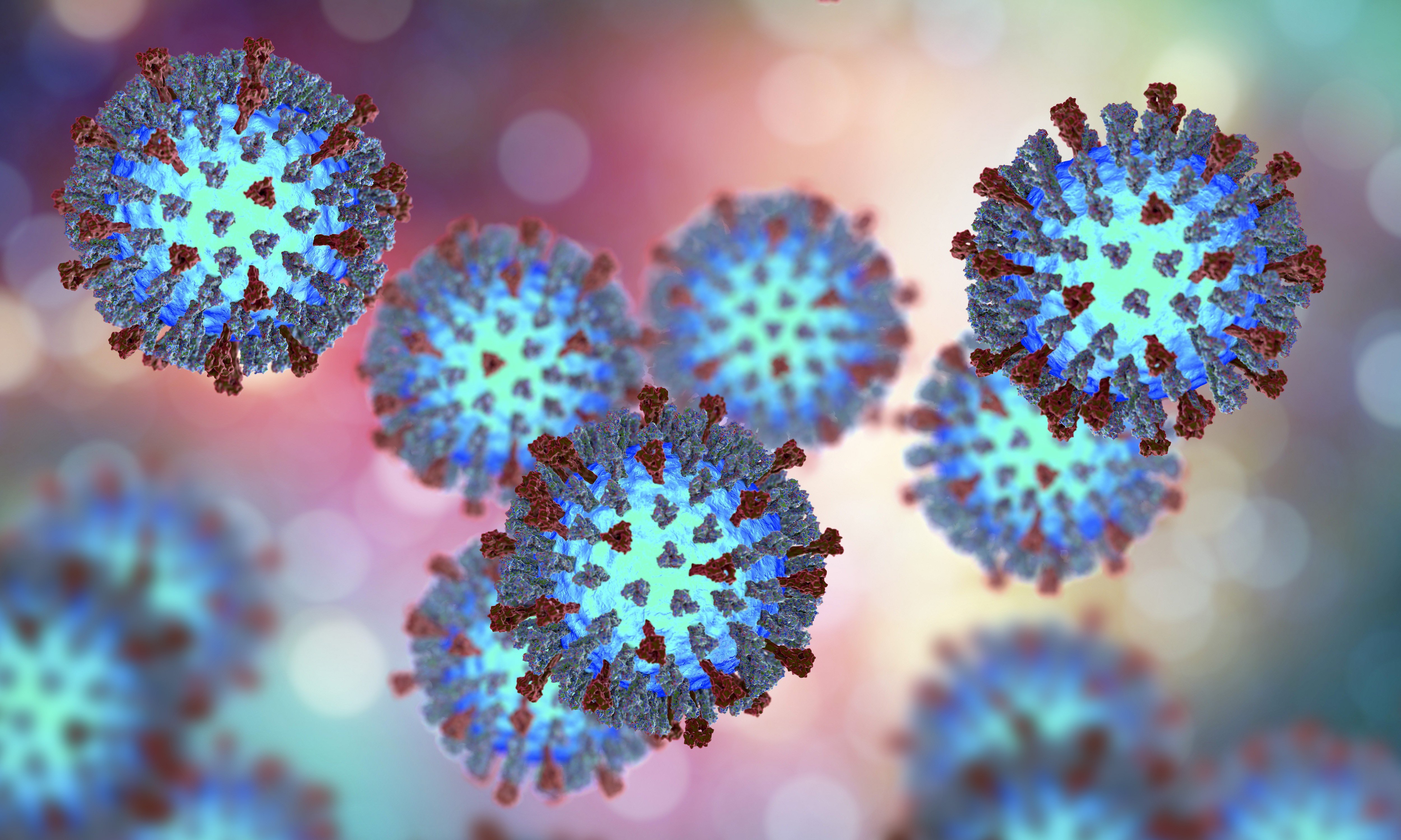 An illustration showing the structure of the measles virus. Photo: Shutterstock