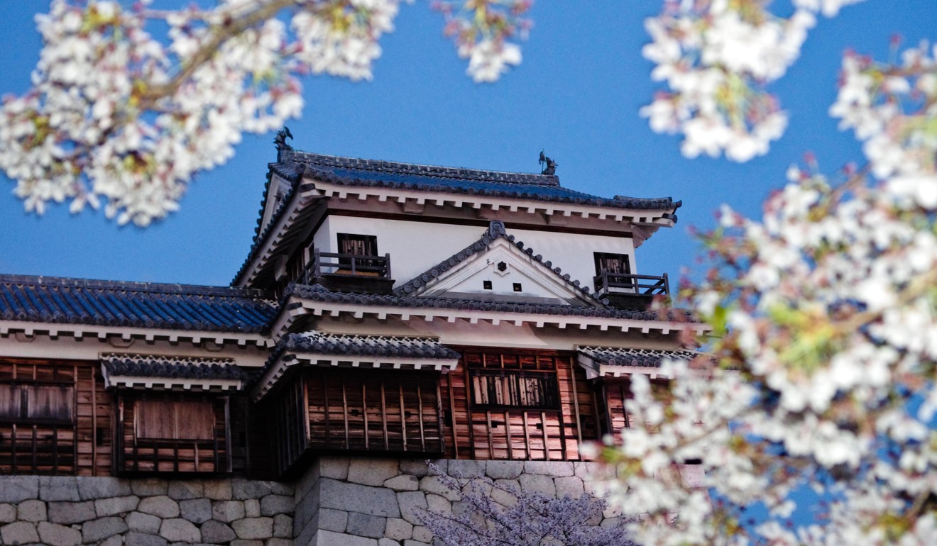 Matsuyama Castle and cherry blossoms after sunset in Shikoku, Japan. Photo: Alamy