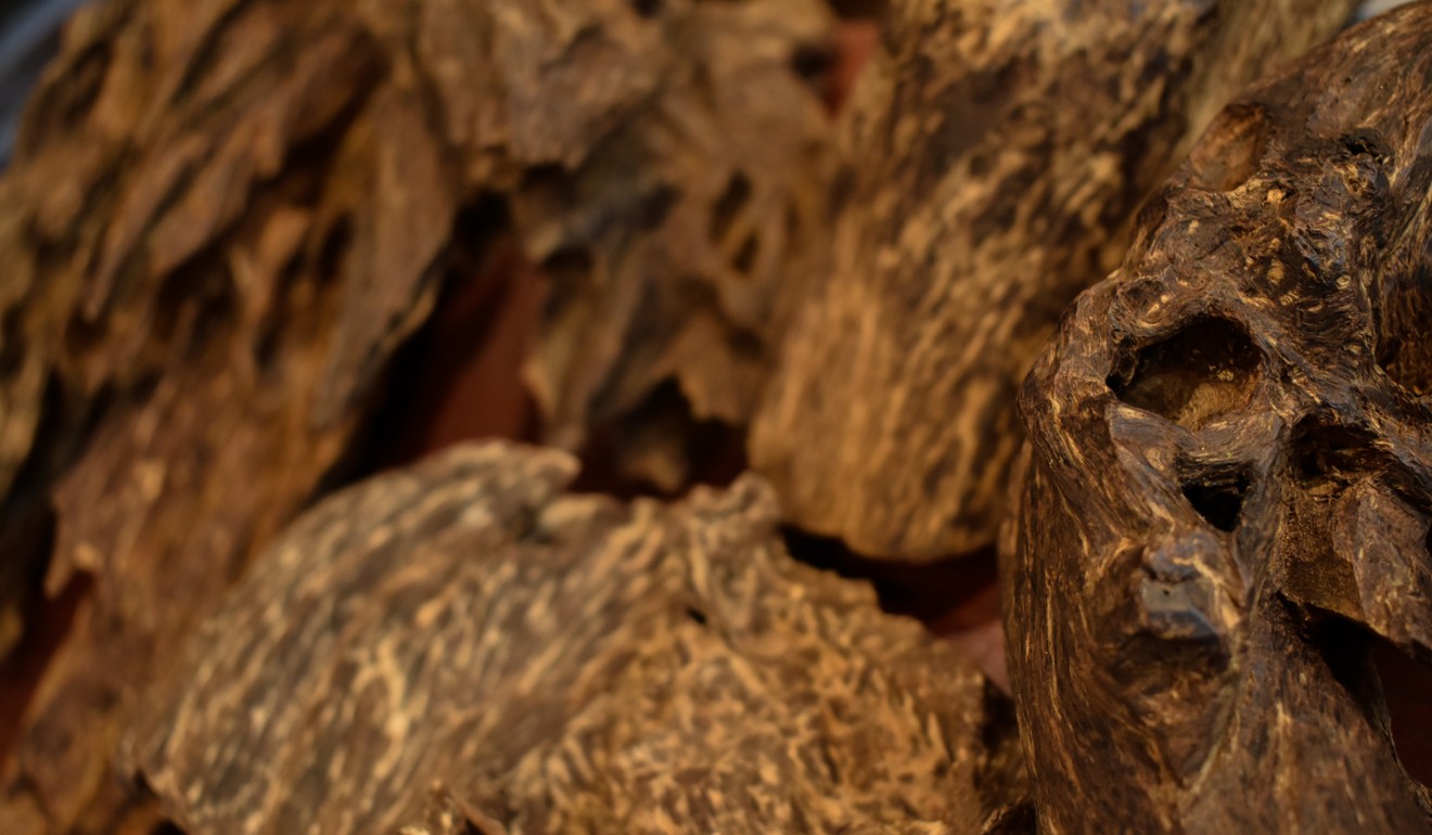 A close-up of incense wood. Photo: Lucy Dayman