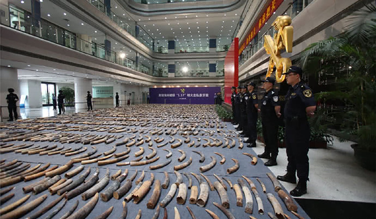 The ivory was seized during a raid on a disused factory in Gaogou, Anhui province. Photo: Sina