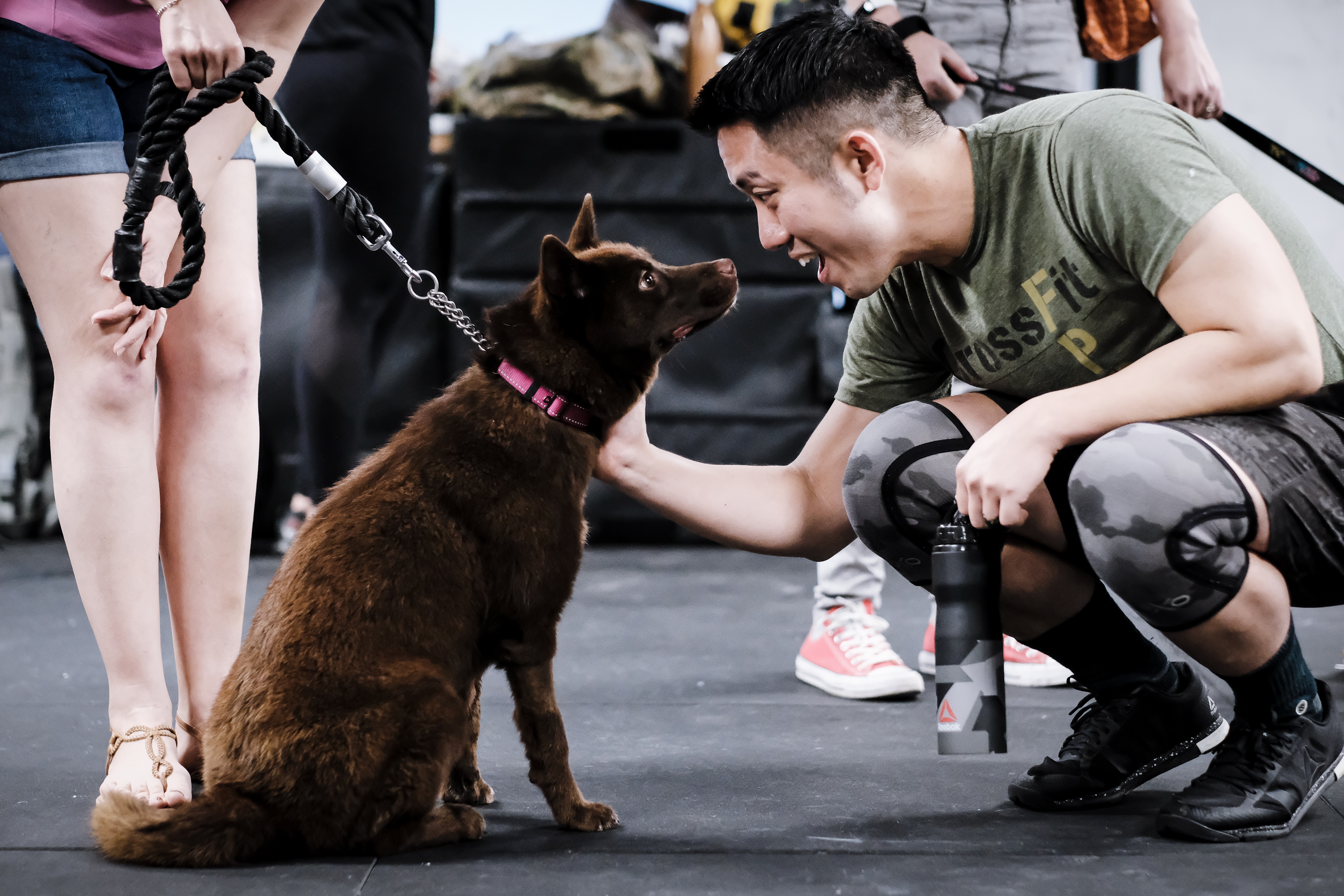 CrossFit Asphodel has an annual charity competition. This year, they raised money for Catherine’s Puppies, which had it’s woof damaged in Typhoon Mangkhut. Photos: CrossFit Asphodel