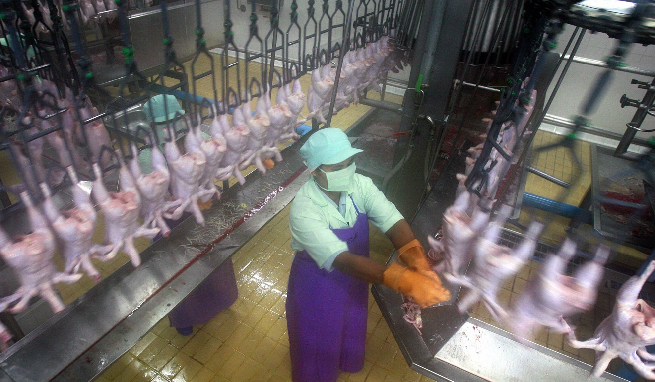 A woman cuts poultry at the Charoen Pokphand Foods (CPF) processing plant in Saraburi in July 2006. Photo: Reuters