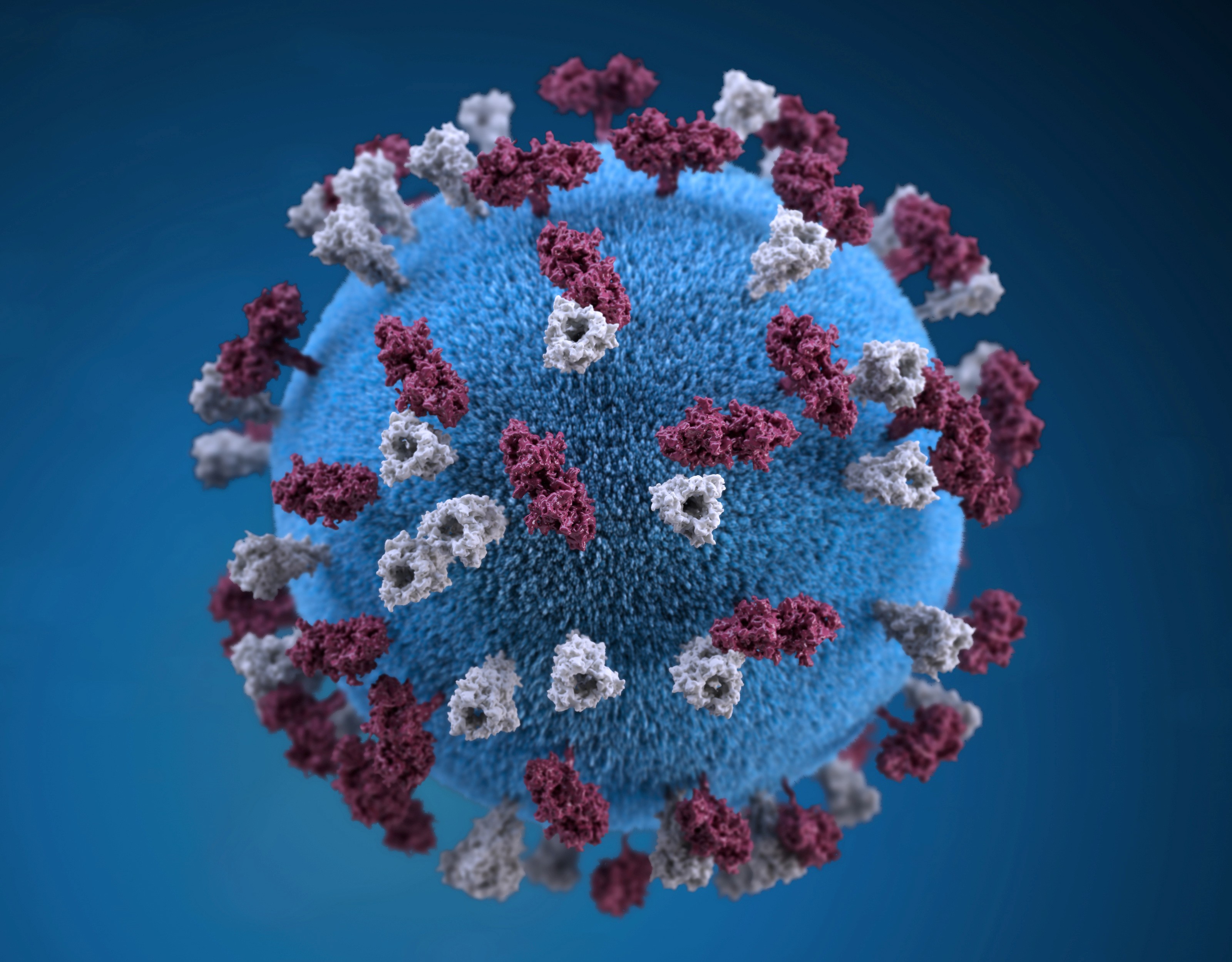An illustration provides a 3D graphical representation of a spherical-shaped, measles virus particle studded with glycoprotein tubercles in this handout image obtained by Reuters April 9, 2019. Centers for Disease Control and Prevention (CDC)/Handout via REUTERS ATTENTION EDITORS - THIS IMAGE WAS PROVIDED BY A THIRD PARTY.