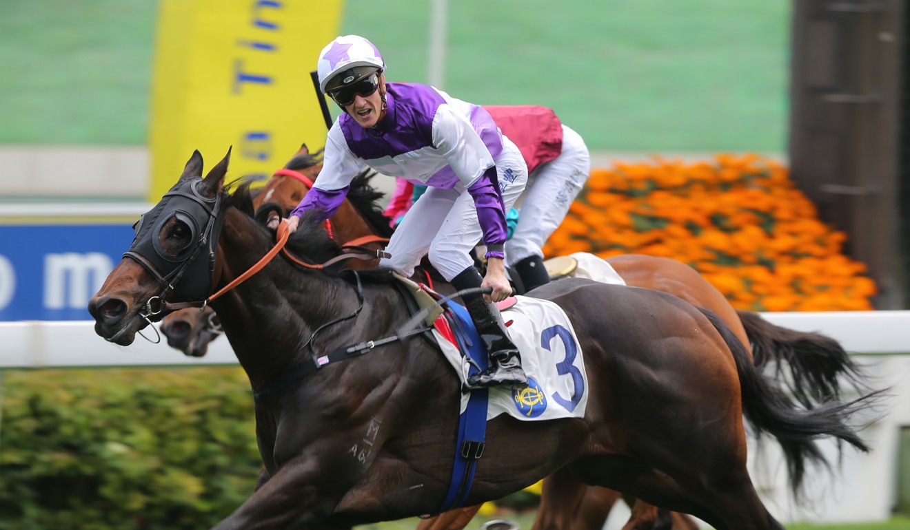 Beat The Clock leads the charge as locals look to bring down Australian ...