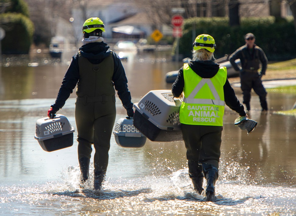Rescuers search for pets amid flooding in Sainte-Marthe-sur-le-Lac, Canada on Monday. Photo: AFP