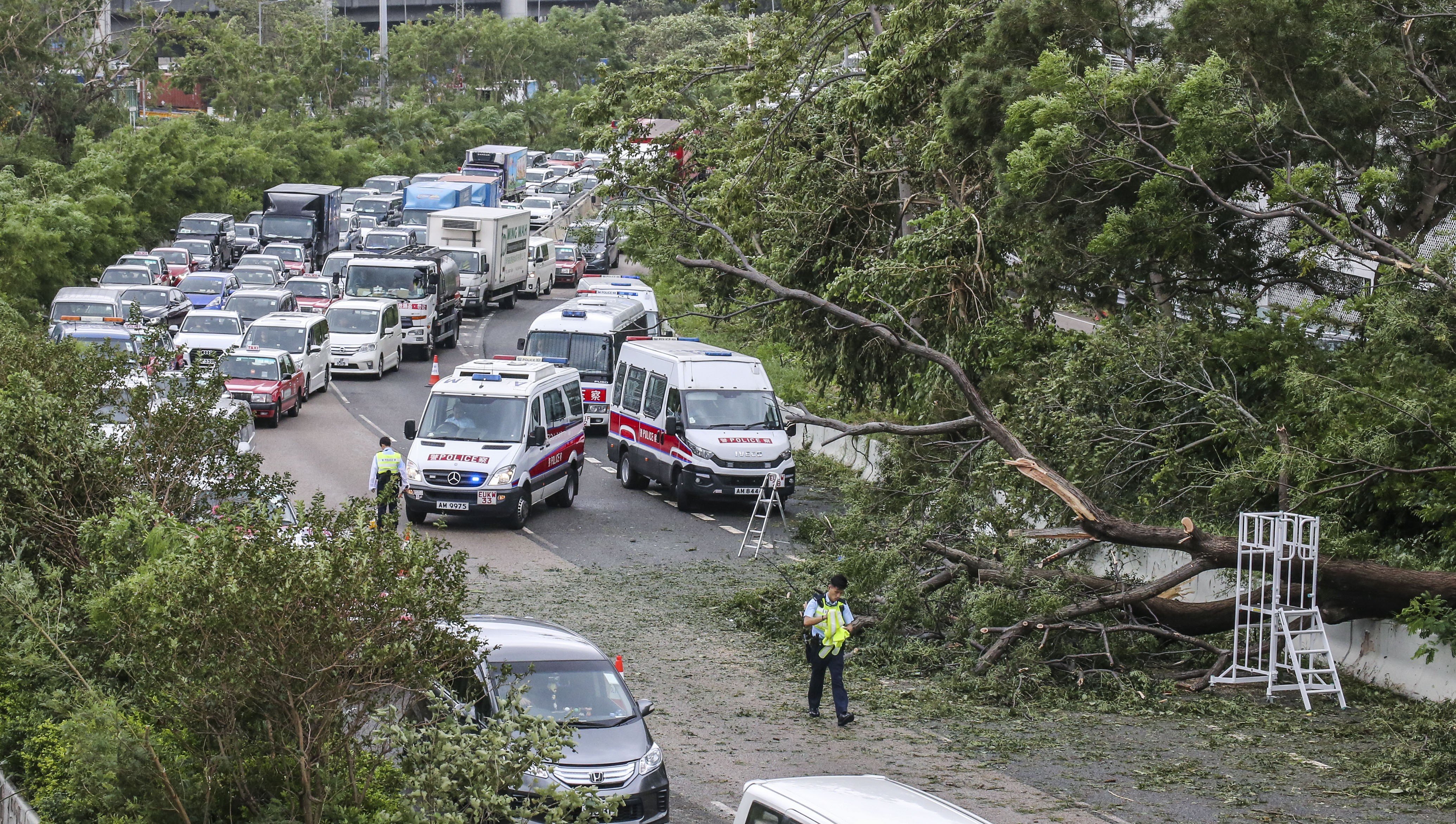 Fallen trees on Kwai Chung Road after Typhoon Mangkhut in September. Photo: Felix Wong