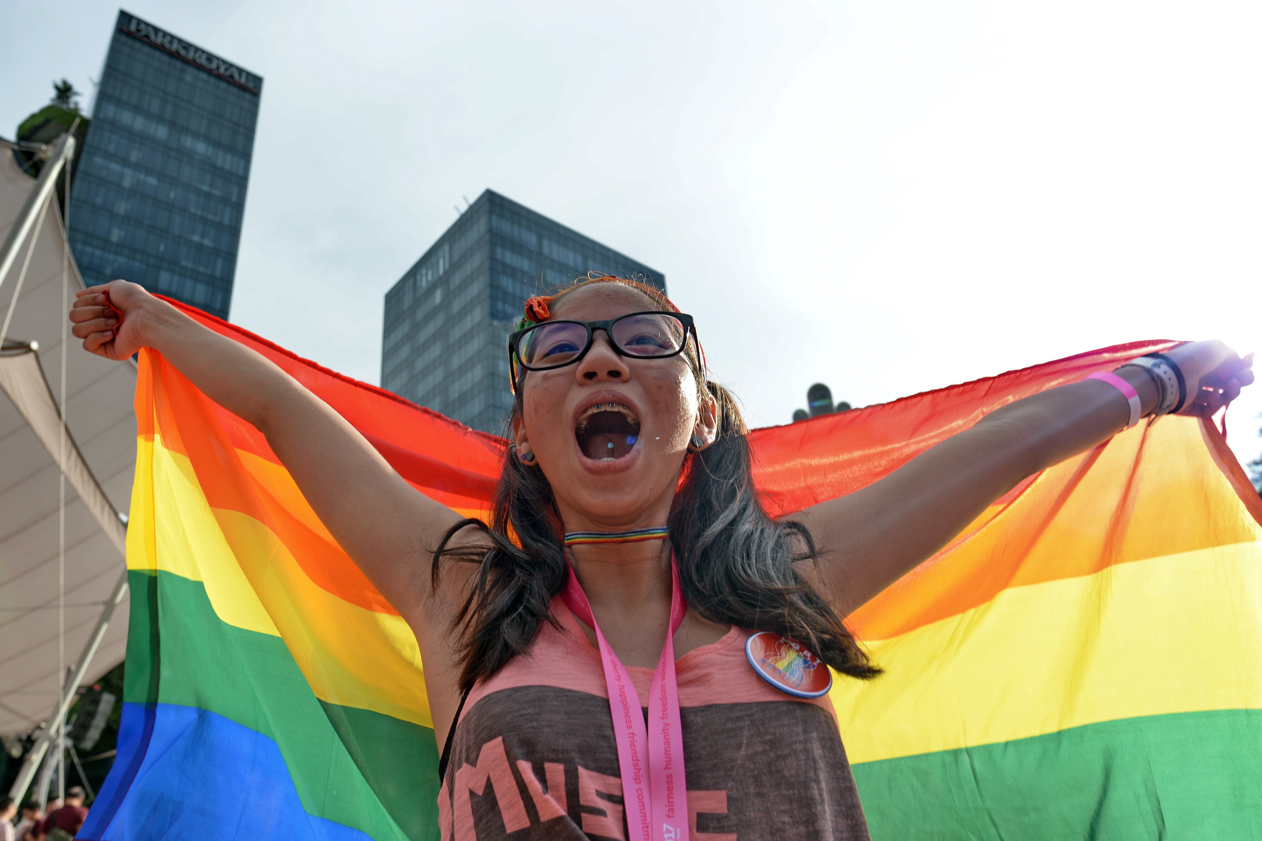 A supporter at Singapore’s Pink Dot LGBT event in 2017. Photo: AFP