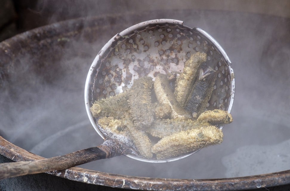 Boiled sea cucumbers. Photo: Lynn Gail