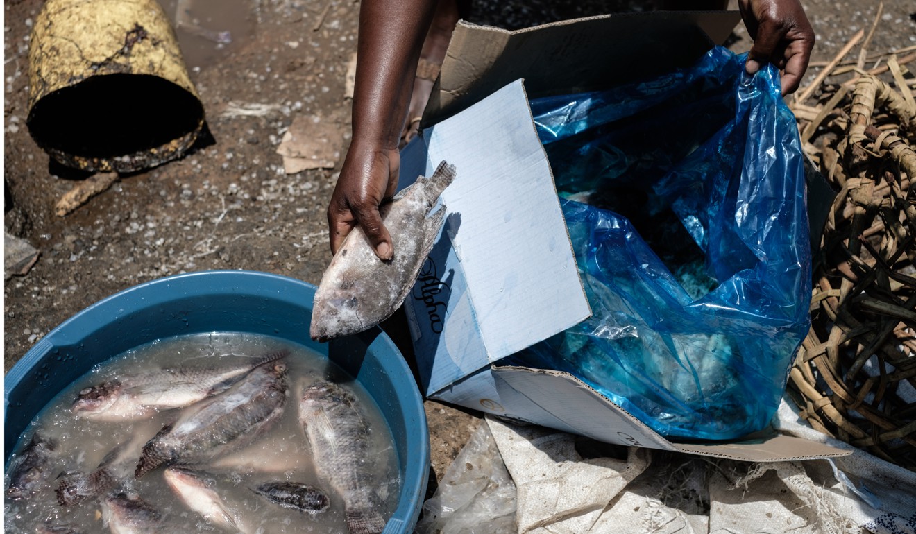A Kenyan woman defrosts tilapia imported from China, the biggest producer of the fish. Photo: Yasuyoshi Chiba/AFP
