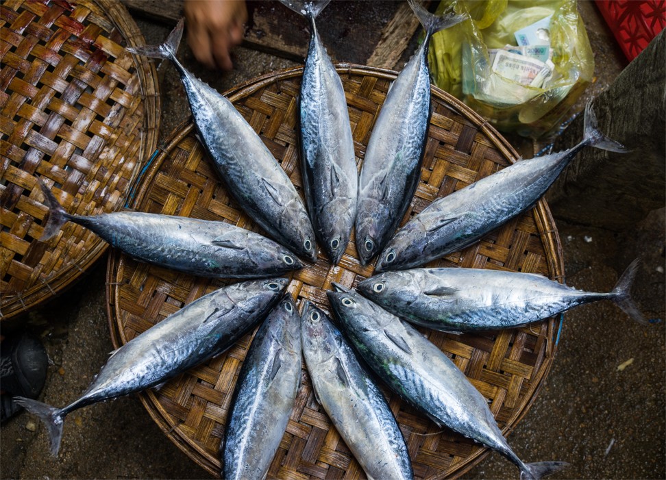 Fresh fish at a rural market in Quy Nhon, Vietnam. Photo: Alamy