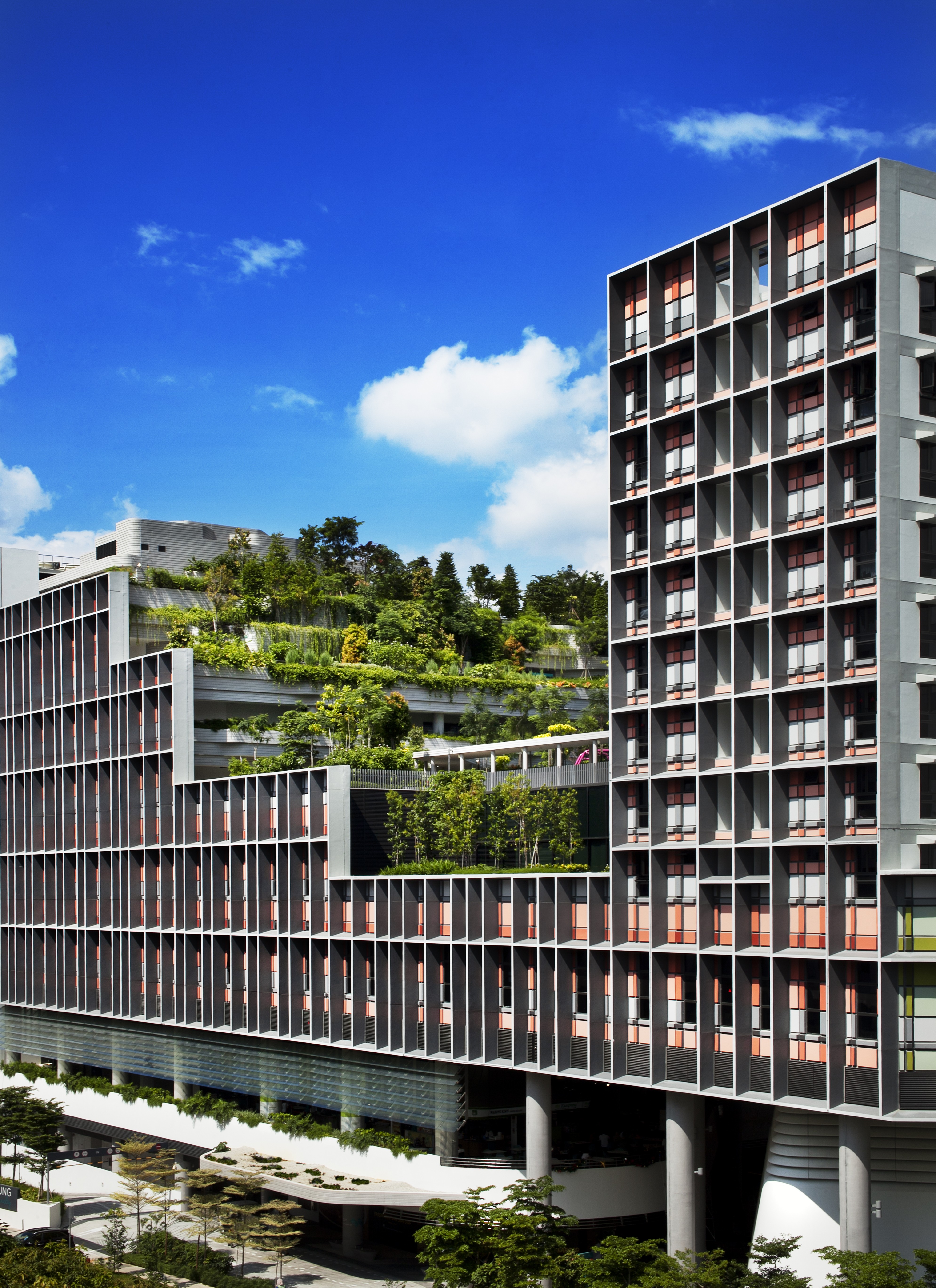 Kampung Admiralty, a mixed-use public housing project by architecture firm WOHA, in Singapore.
