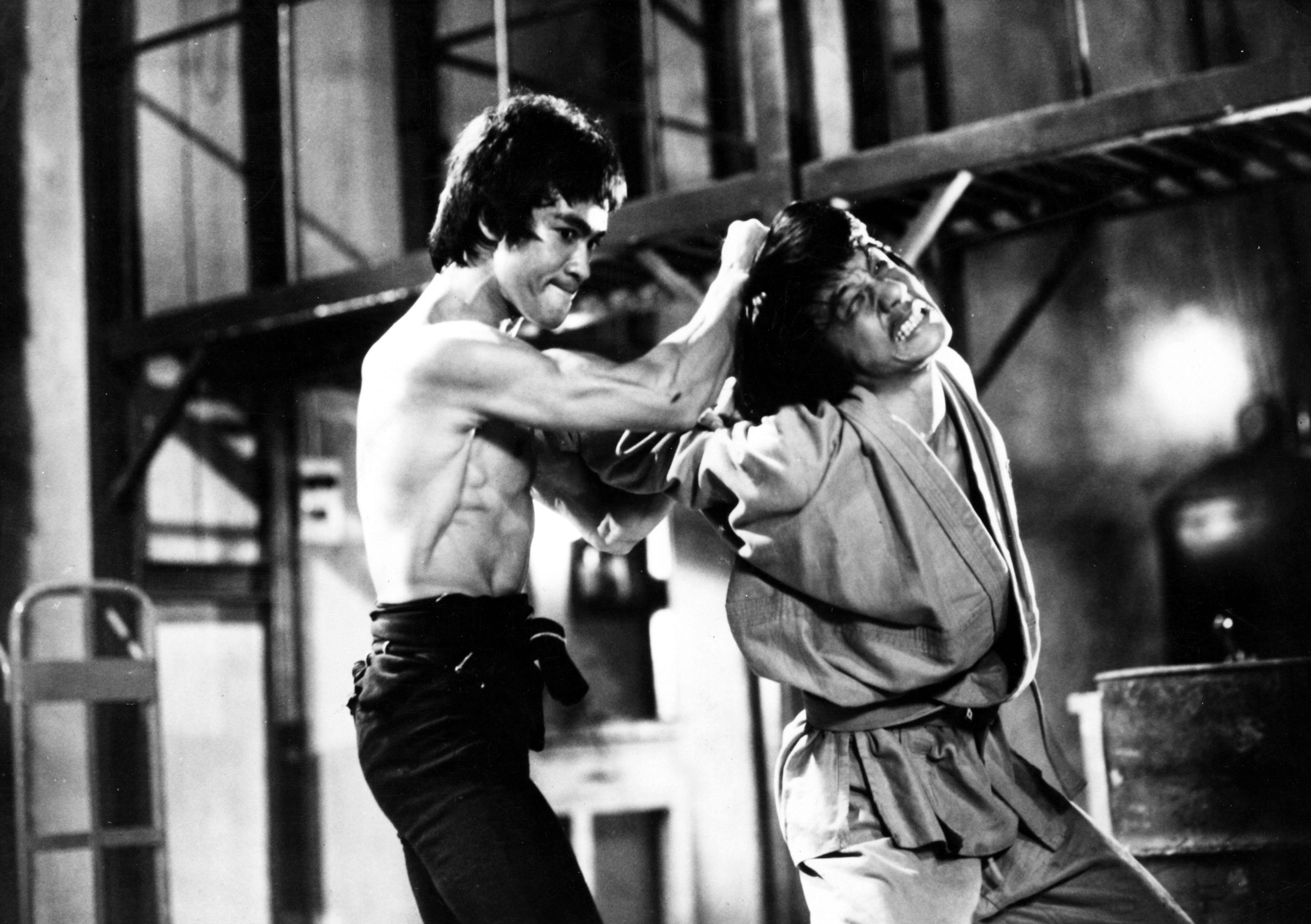 bruce lee mixed martial arts