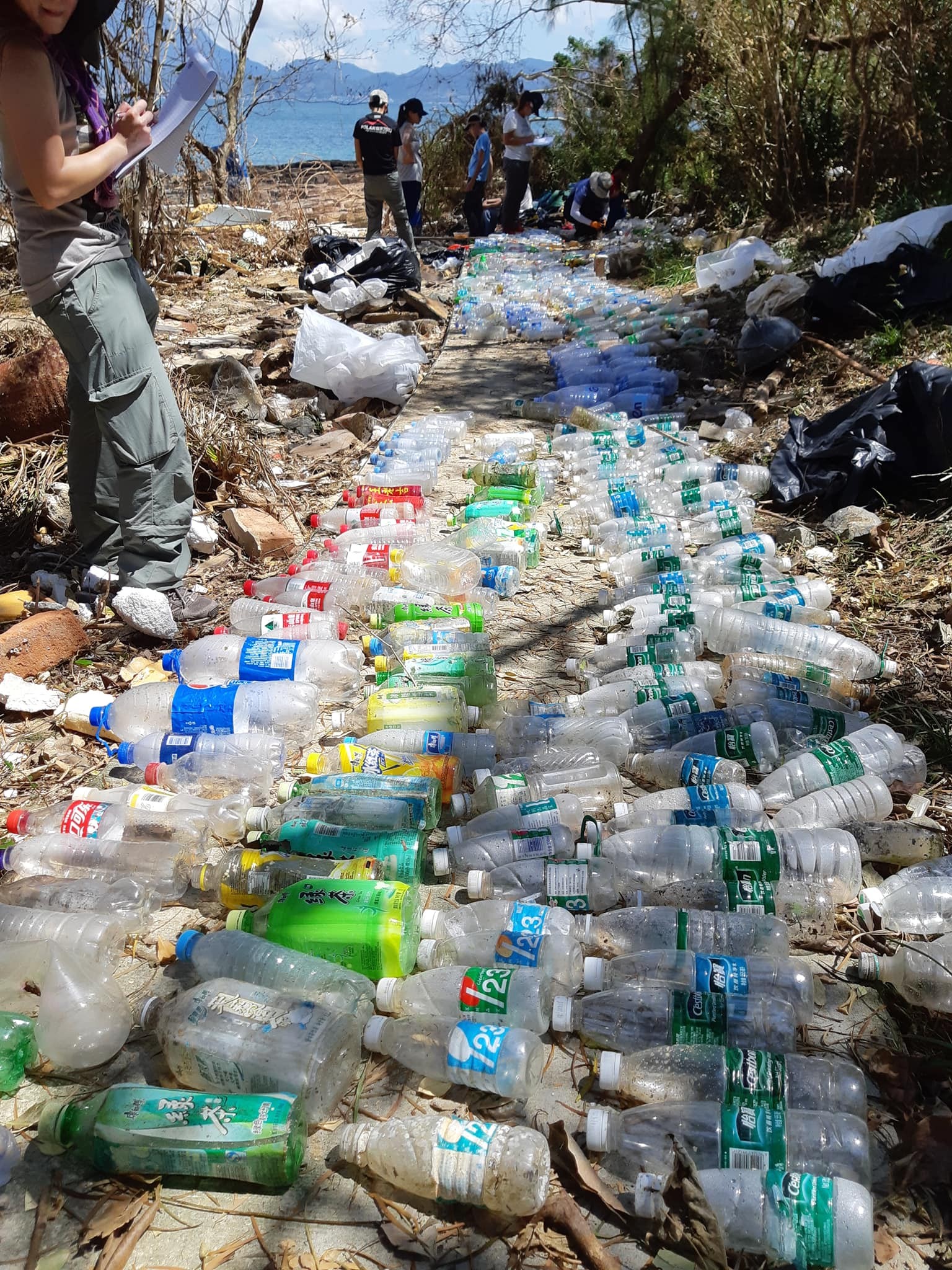 Plastic bottles gathered on a beach in Tung Ping Chau. Photo: Facebook