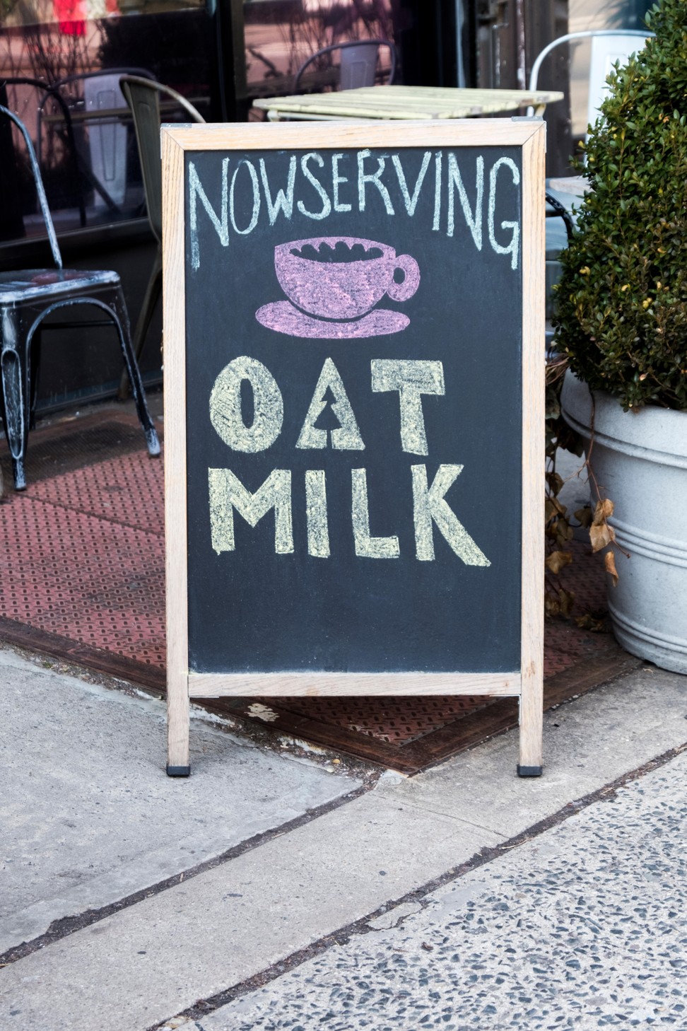 Oat milk is a popular alternative to dairy and soy milk. Photo: Alamy