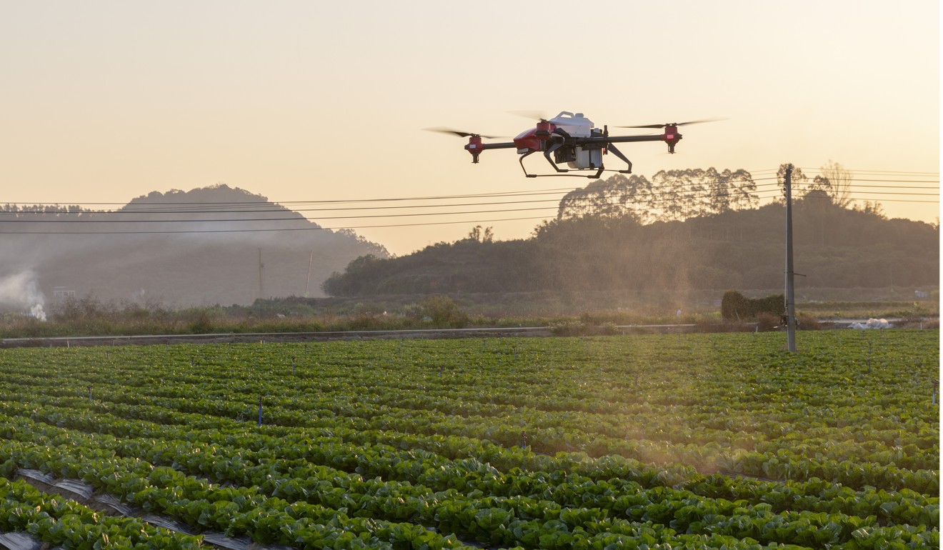 A drone fertilising a crop in China. Photo: handout