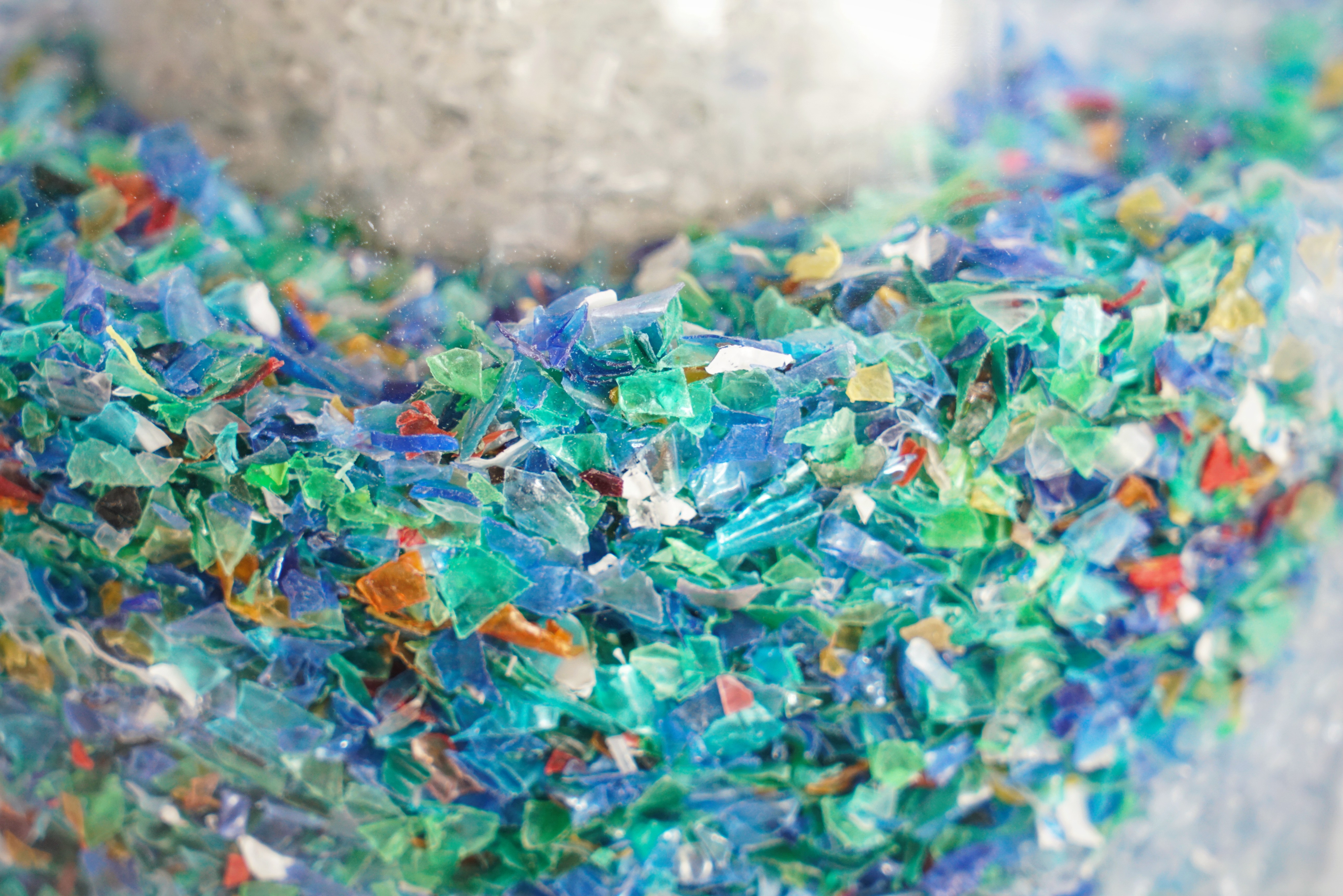 Plastic waste has risen dramatically alongside globalisation. Photo: Shutterstock