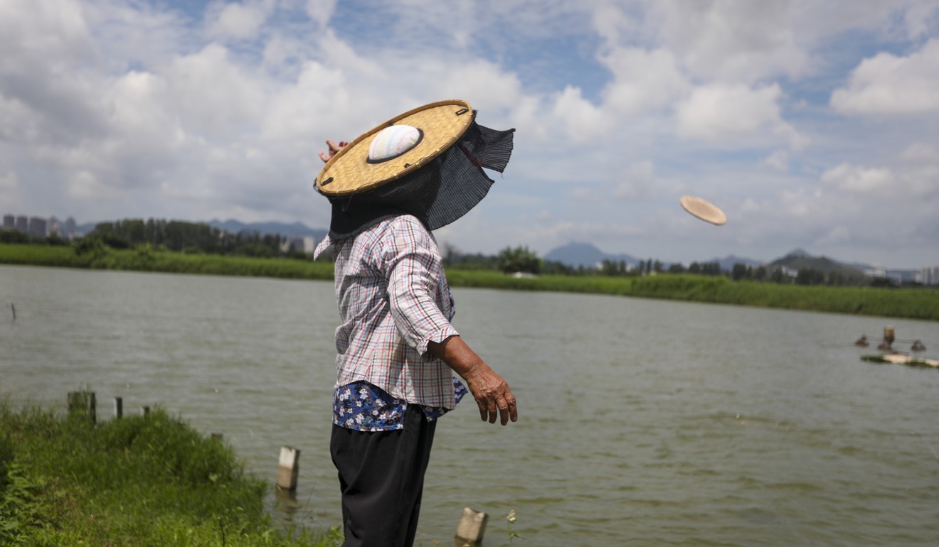 Fisherman in Yuen Long Hong Kong