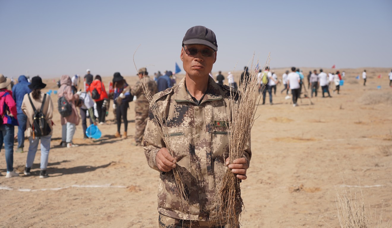 A volunteer shows off drought-resistant saxaul tree saplings planted in the Gobi desert during Earth Day in April under an initiative by Ant Financial Services. Photo: Tom Wang