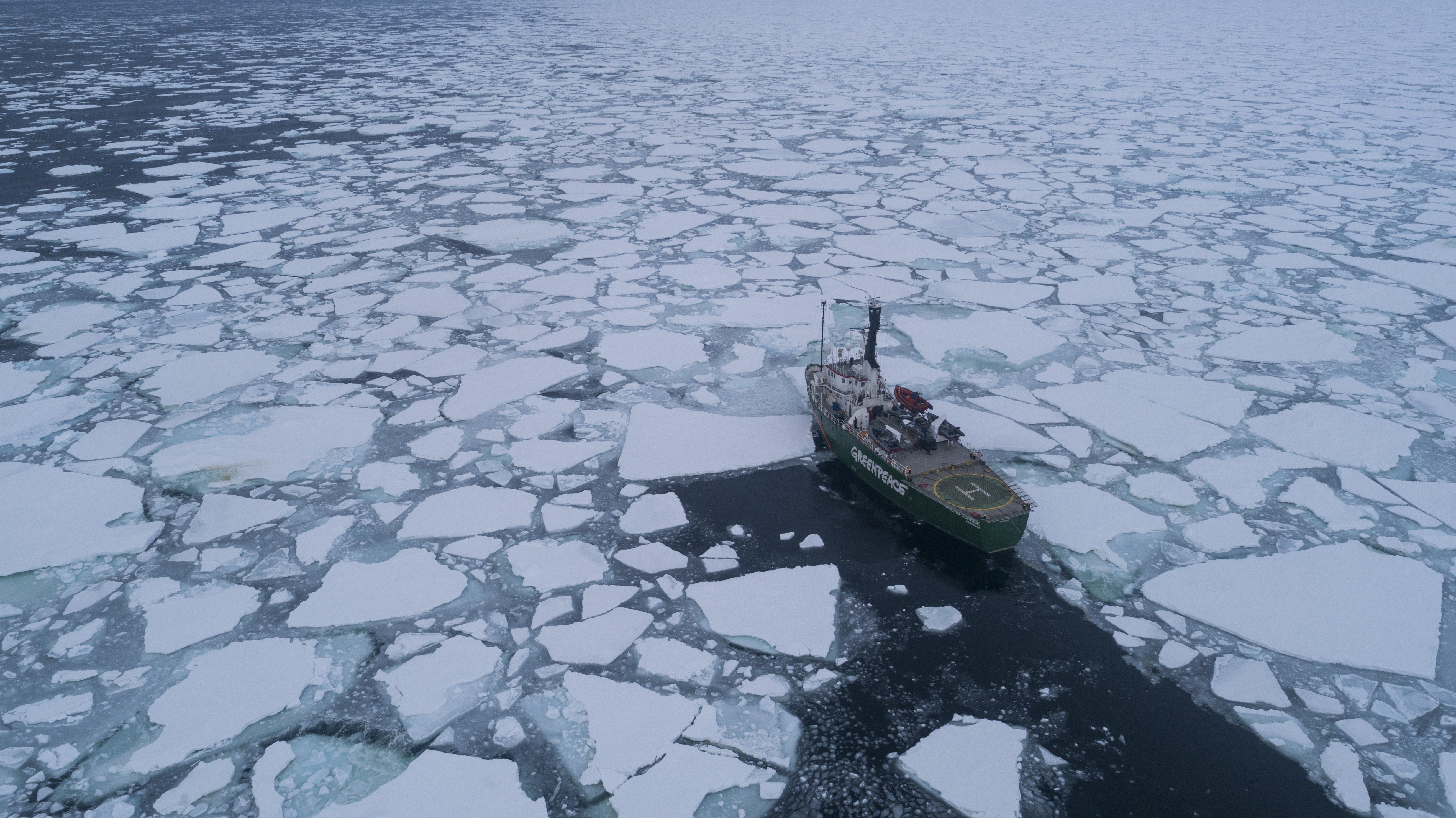 The Greenpeace ship Arctic Sunrise takes scientists to test sea ice in the Fram Strait between the Norwegian archipelago of Svalbard and Greenland. Picture: Denis Sinyakov / Greenpeace