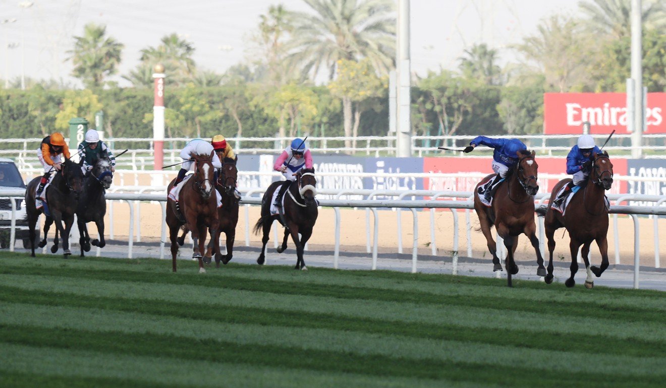 Cross Counter (blue cap) kicks clear to win the Dubai Gold Cup earlier this year. Photo: Kenneth Chan