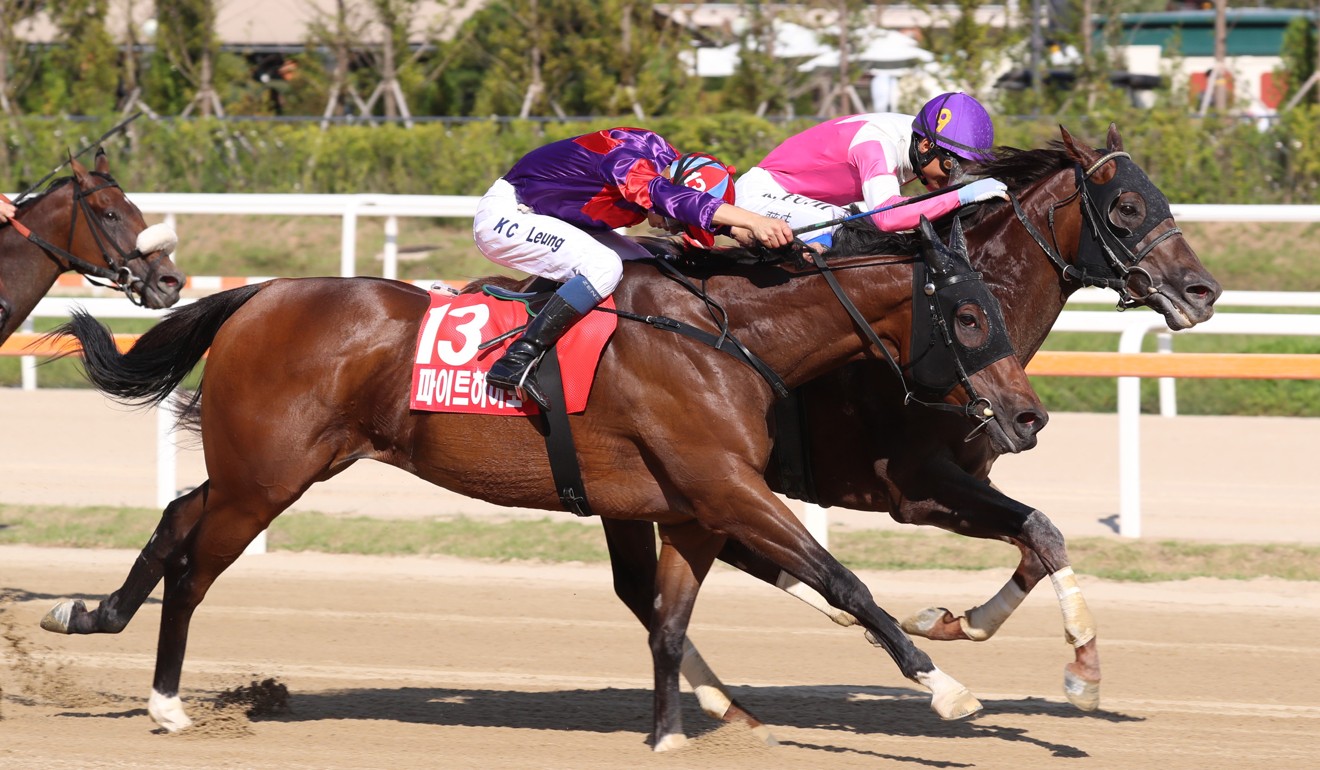 Fight Hero finishes a gallant second behind Moanin in the Korea Sprint. Photo: Kenneth Chan