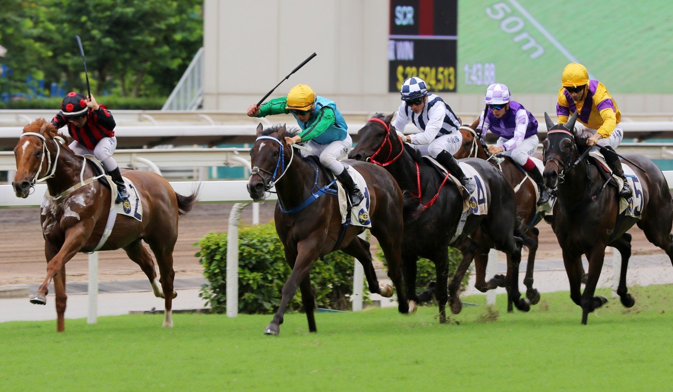 Rise High takes control in the Premier Plate.