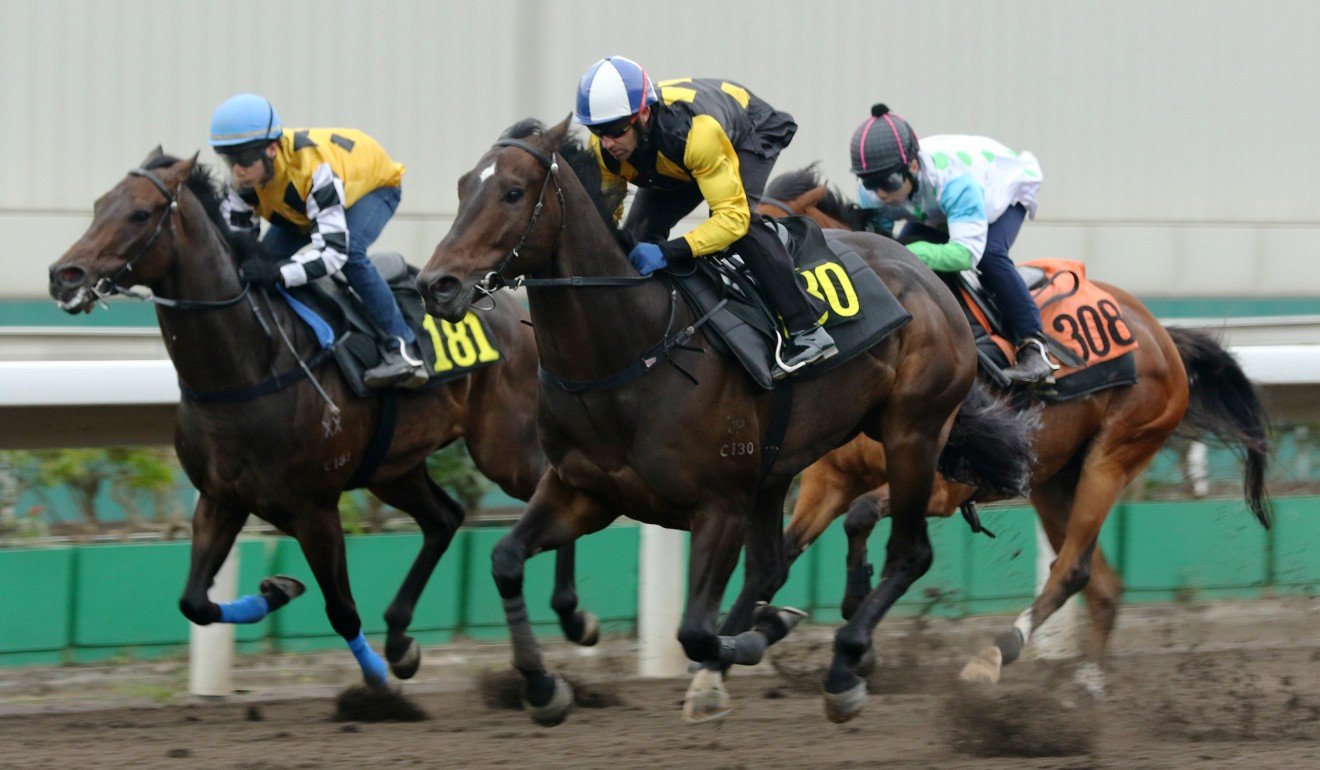 King’s Trooper (outside), ridden by Neil Callan, wins a barrier trial at Sha Tin.