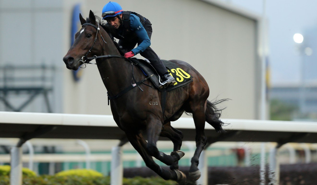 Jockey Neil Callan gallops King’s Trooper at Sha Tin.