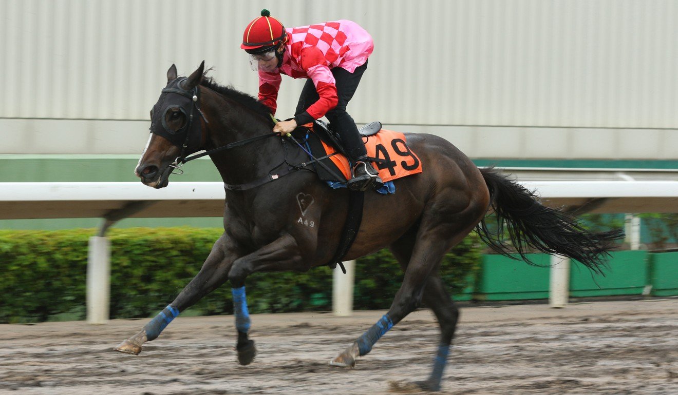Planet Star trials on the Sha Tin all-weather surface.